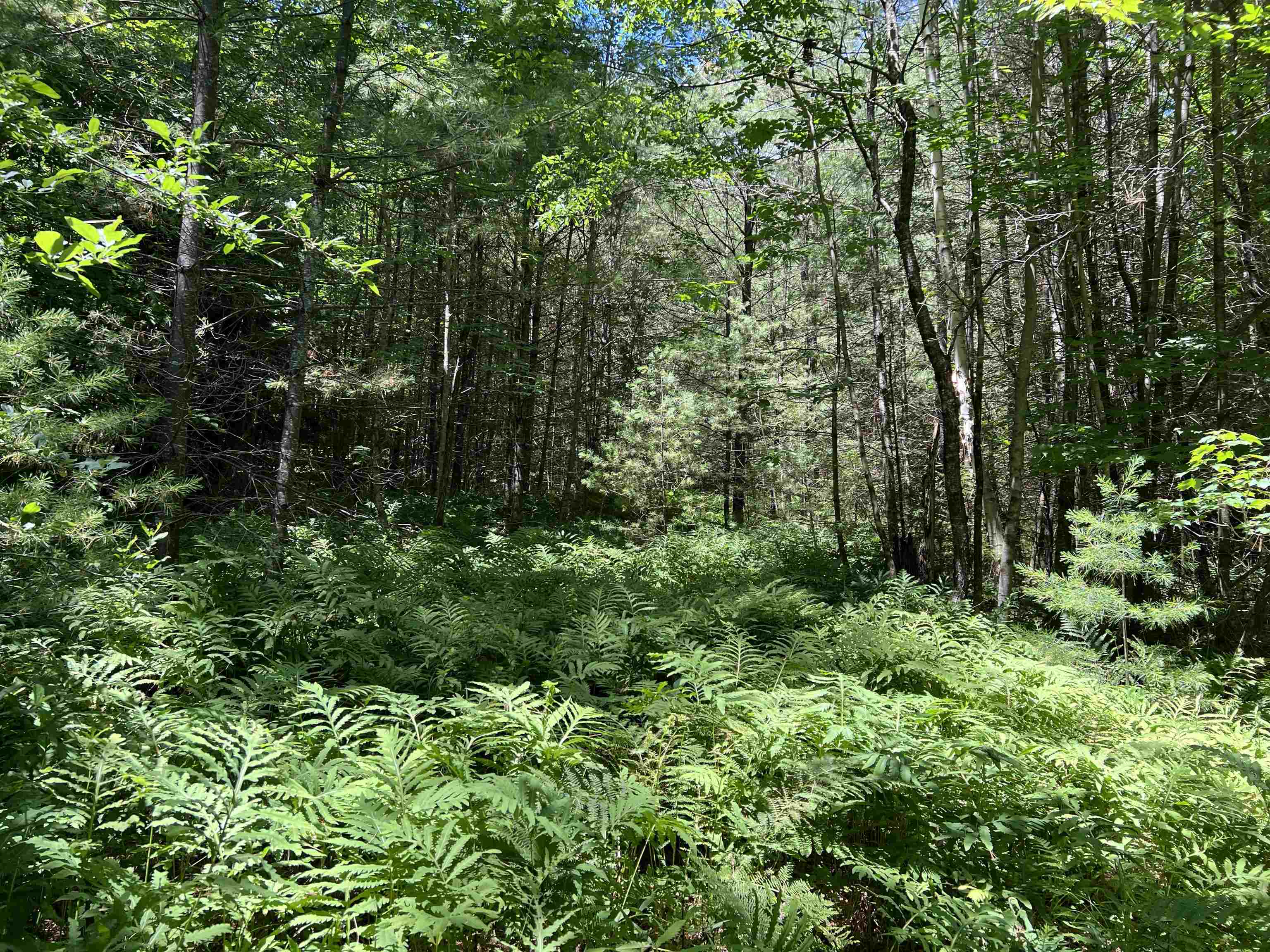 Homes for sale in Thornton, NH | 000 Upper Mad River Rd, Thornton, NH 03285 | MLS# 5010465