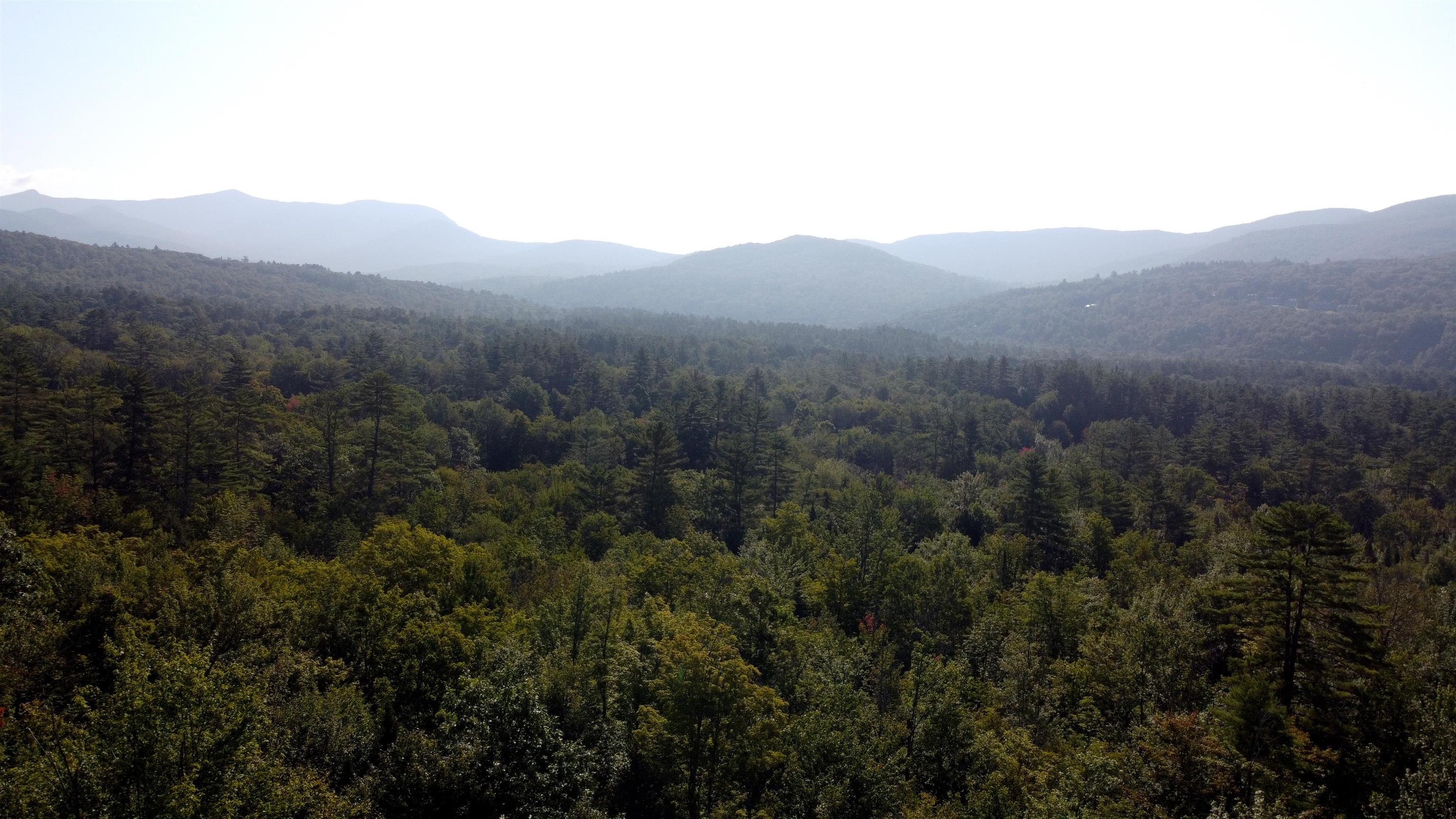 MLS #5010465 image #5