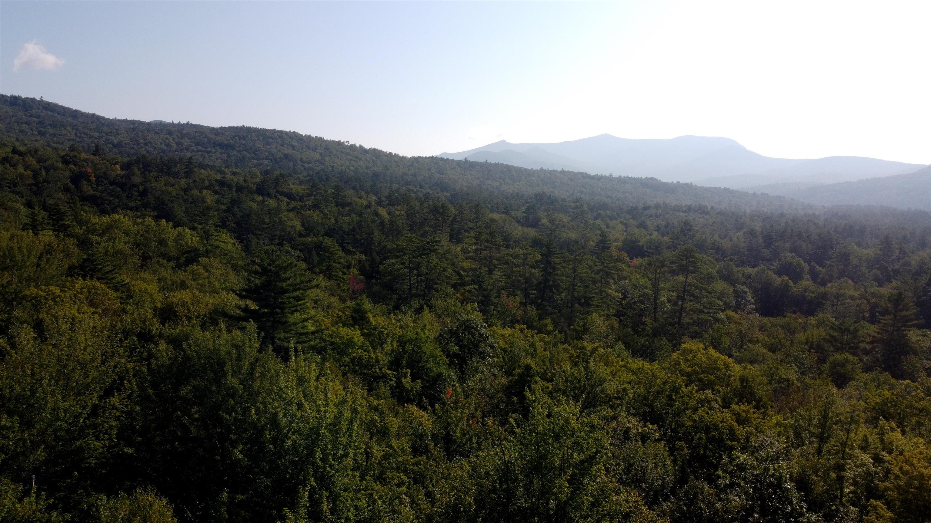 MLS #5010465 image #6