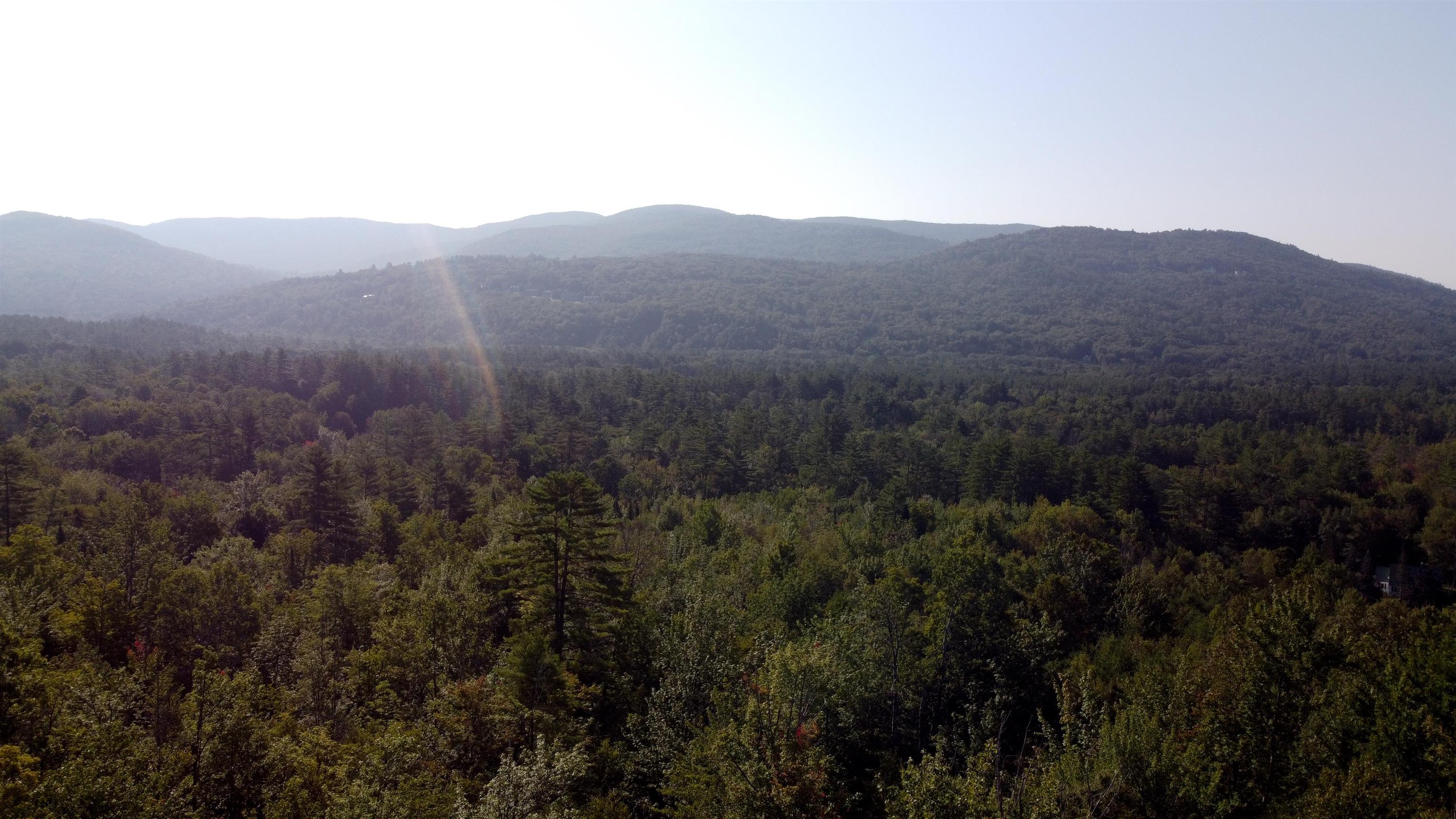 MLS #5010465 image #7