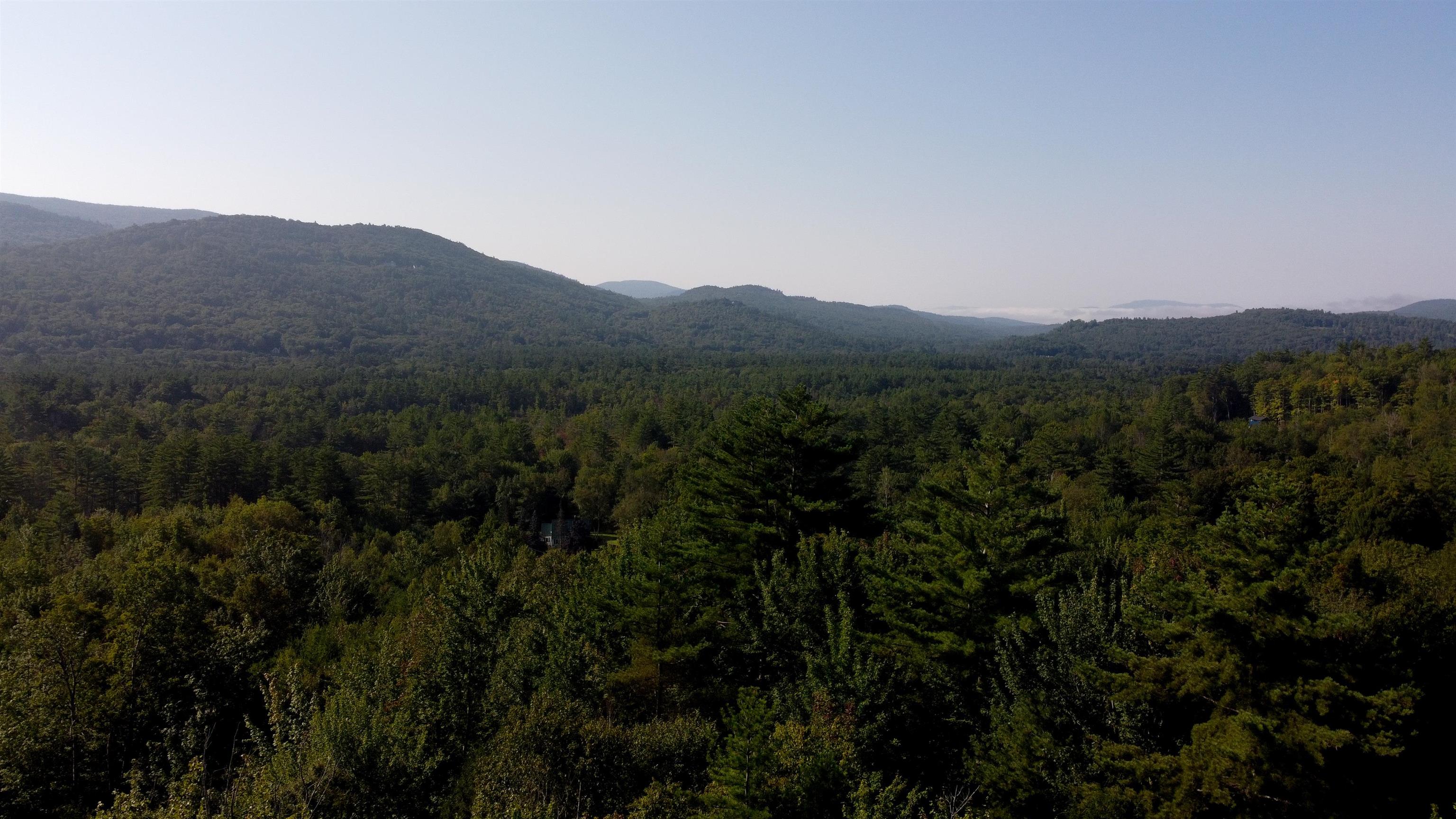 MLS #5010465 image #8