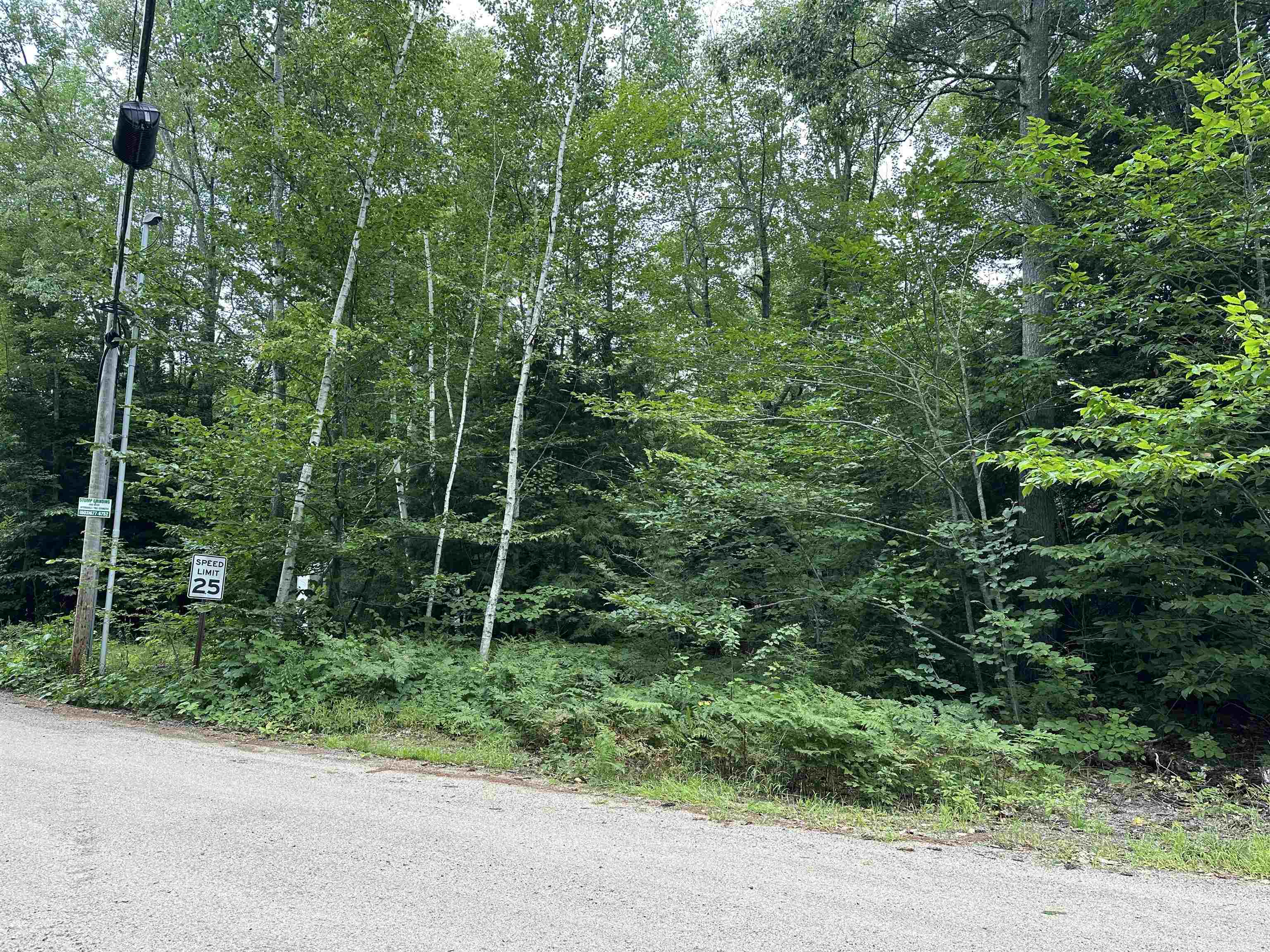 Homes for sale in Middleton, NH | Fox Rd, Middleton, NH 03887 | MLS# 5010590