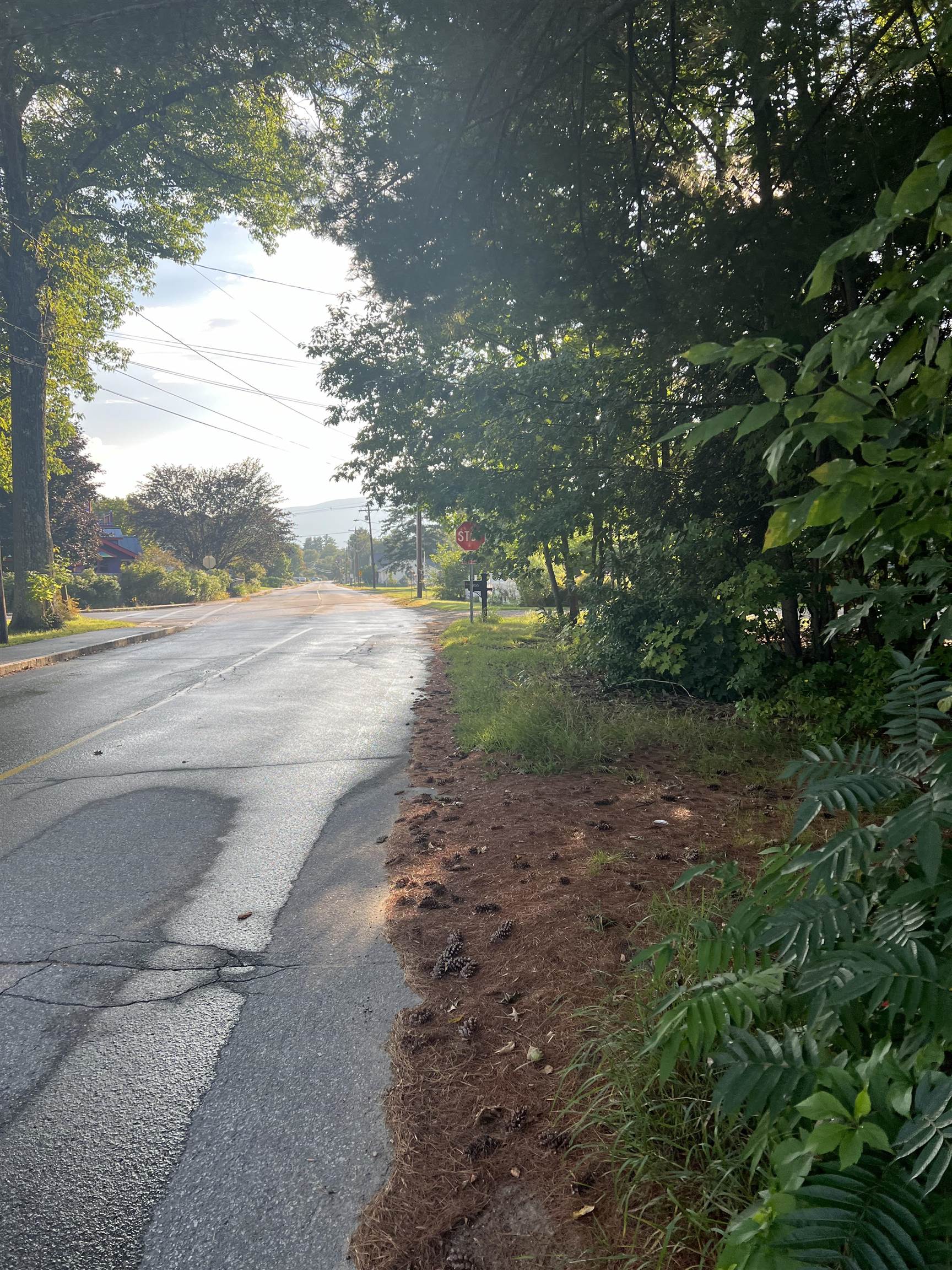 Homes for sale in Lincoln, NH | 164 Pollard Rd, Lincoln, NH 03251 | MLS# 5011695