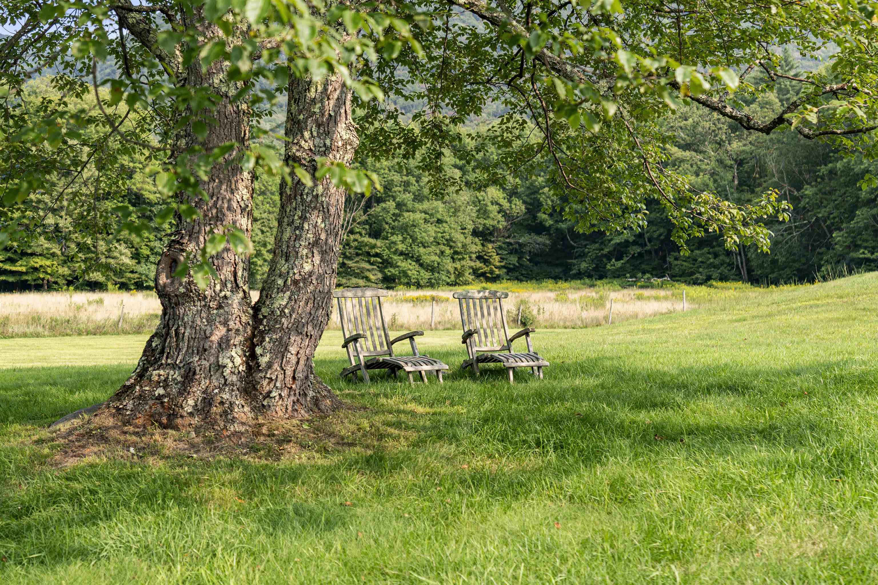 MLS #5011880 image #35