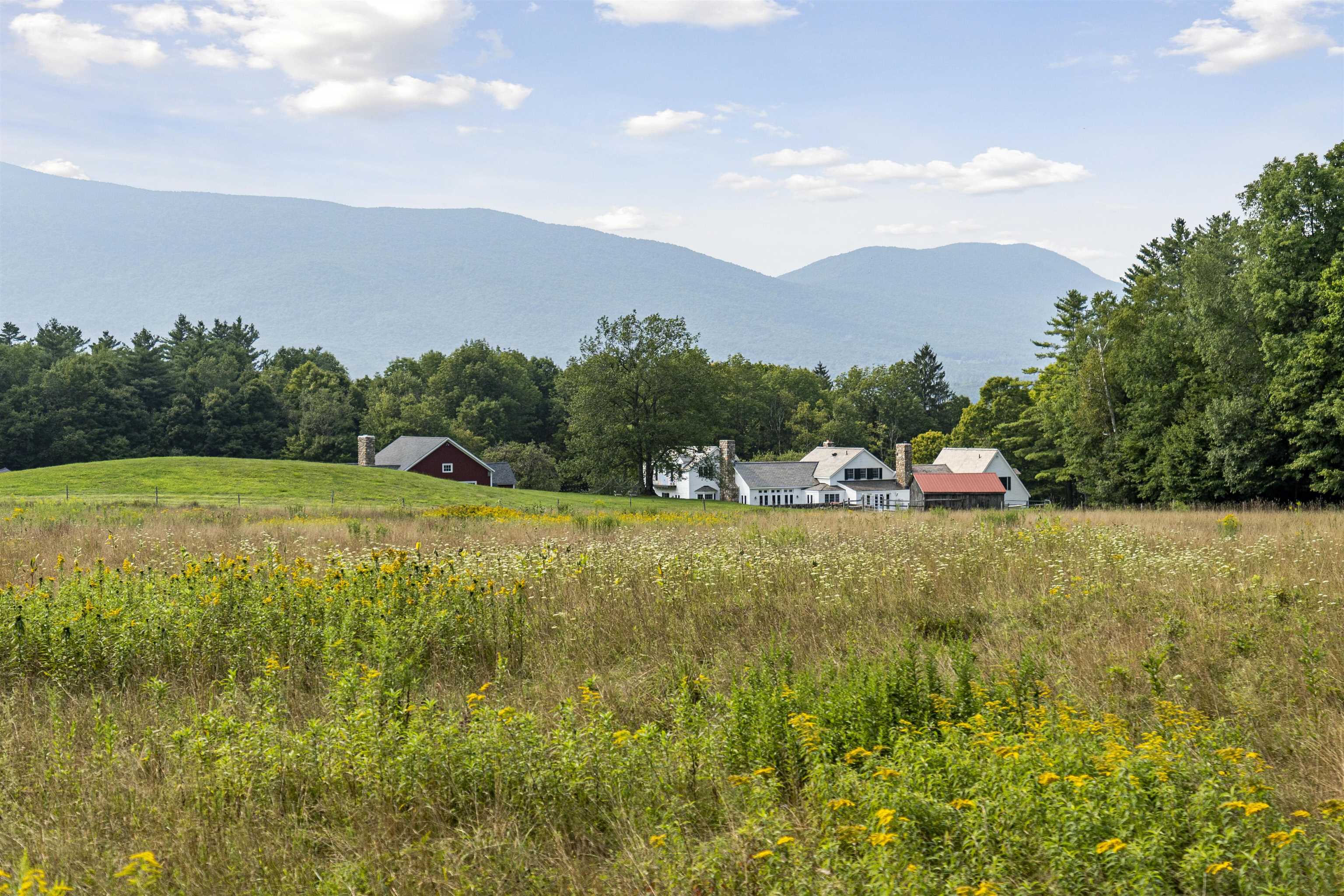 MLS #5011880 image #8