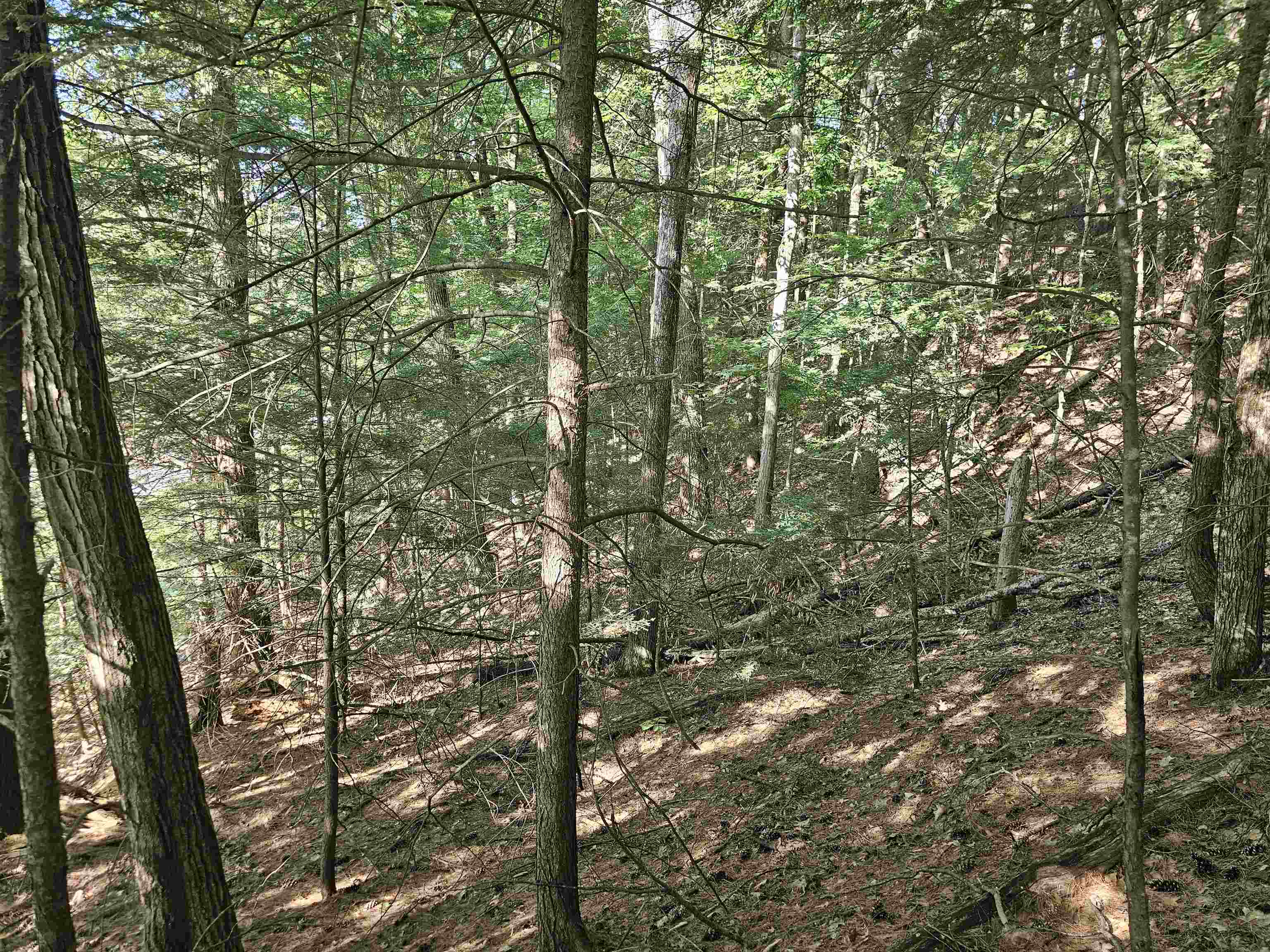 Homes for sale in Gilford, NH | 119 Cherry Valley Rd, Gilford, NH 03249 | MLS# 5012441