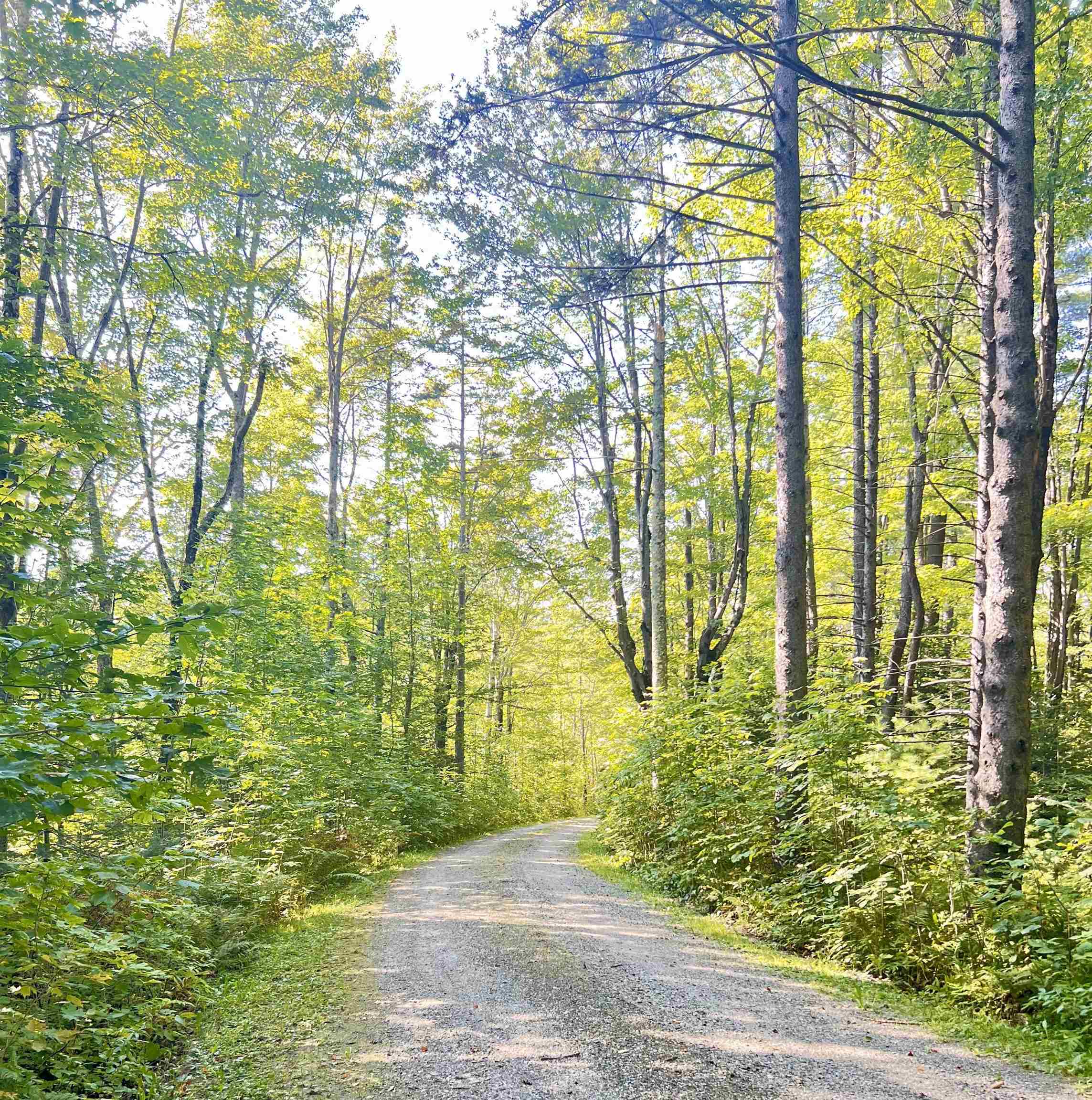 Homes for sale in Peru, VT | 000 Route 11, Peru, VT 05152 | MLS# 5012880