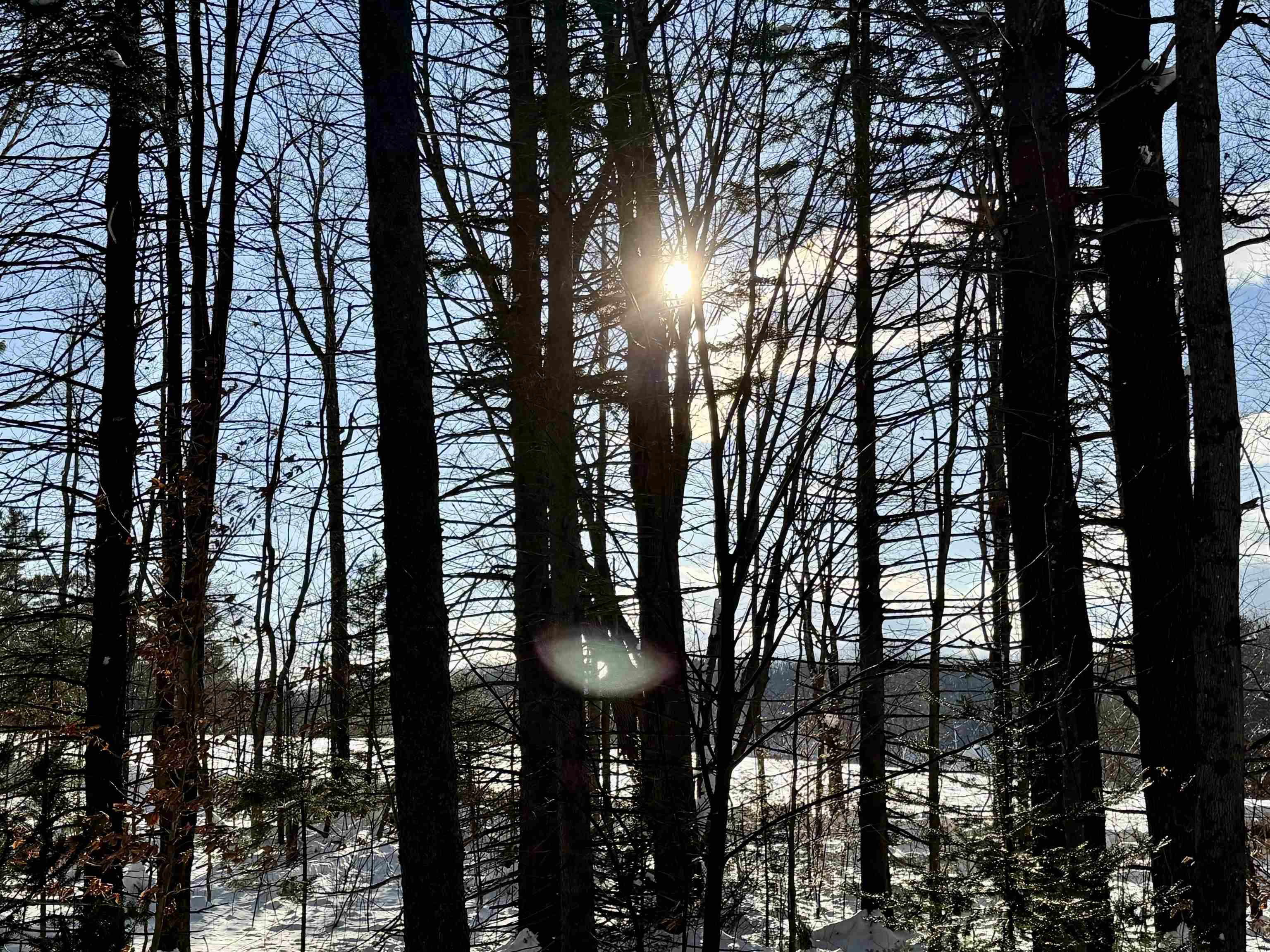 Homes for sale in Peru, VT | 000 Route 11, Peru, VT 05152 | MLS# 5012880