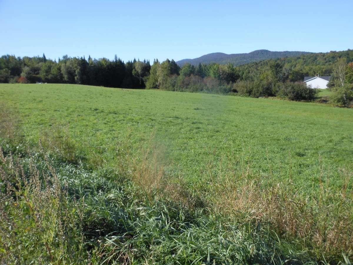 Homes for sale in Elmore, VT | Lot 5B Vt Rt 12, Elmore, VT 05657 | MLS# 5012894