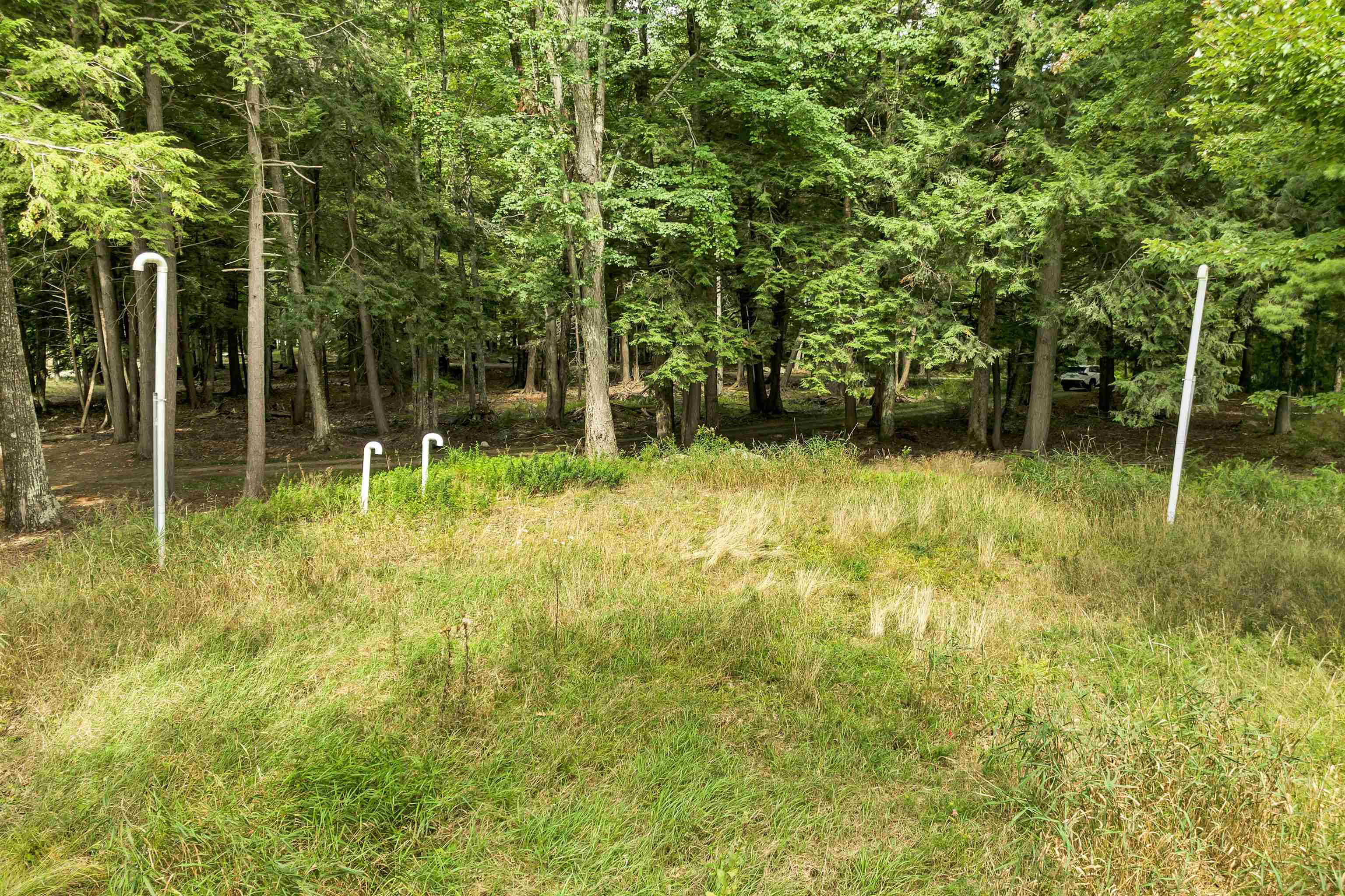 MLS #5013465 image #7