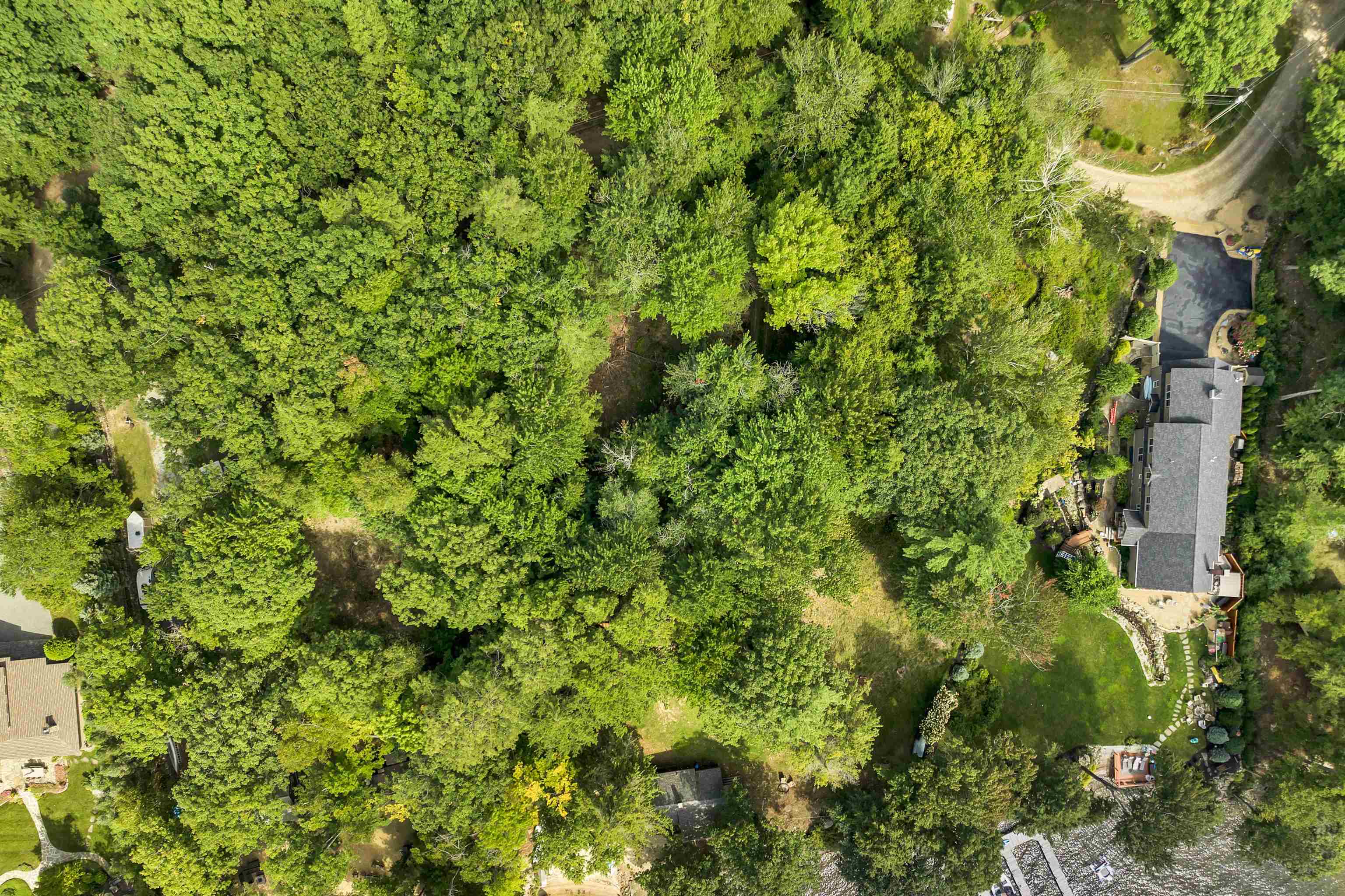 MLS #5013468 image #17