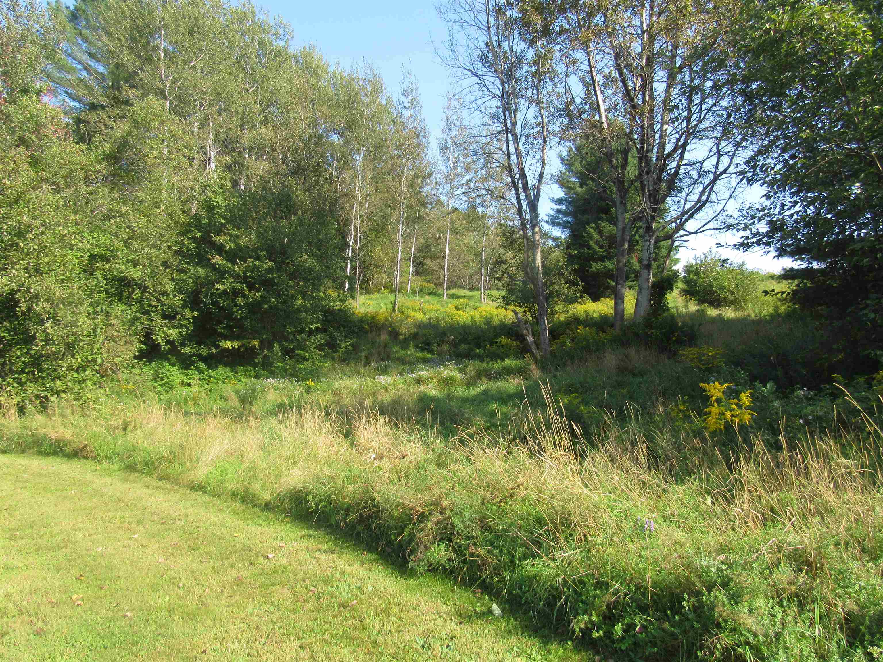 Homes for sale in Troy, VT | 0 River Rd, Troy, VT 05868 | MLS# 5013469