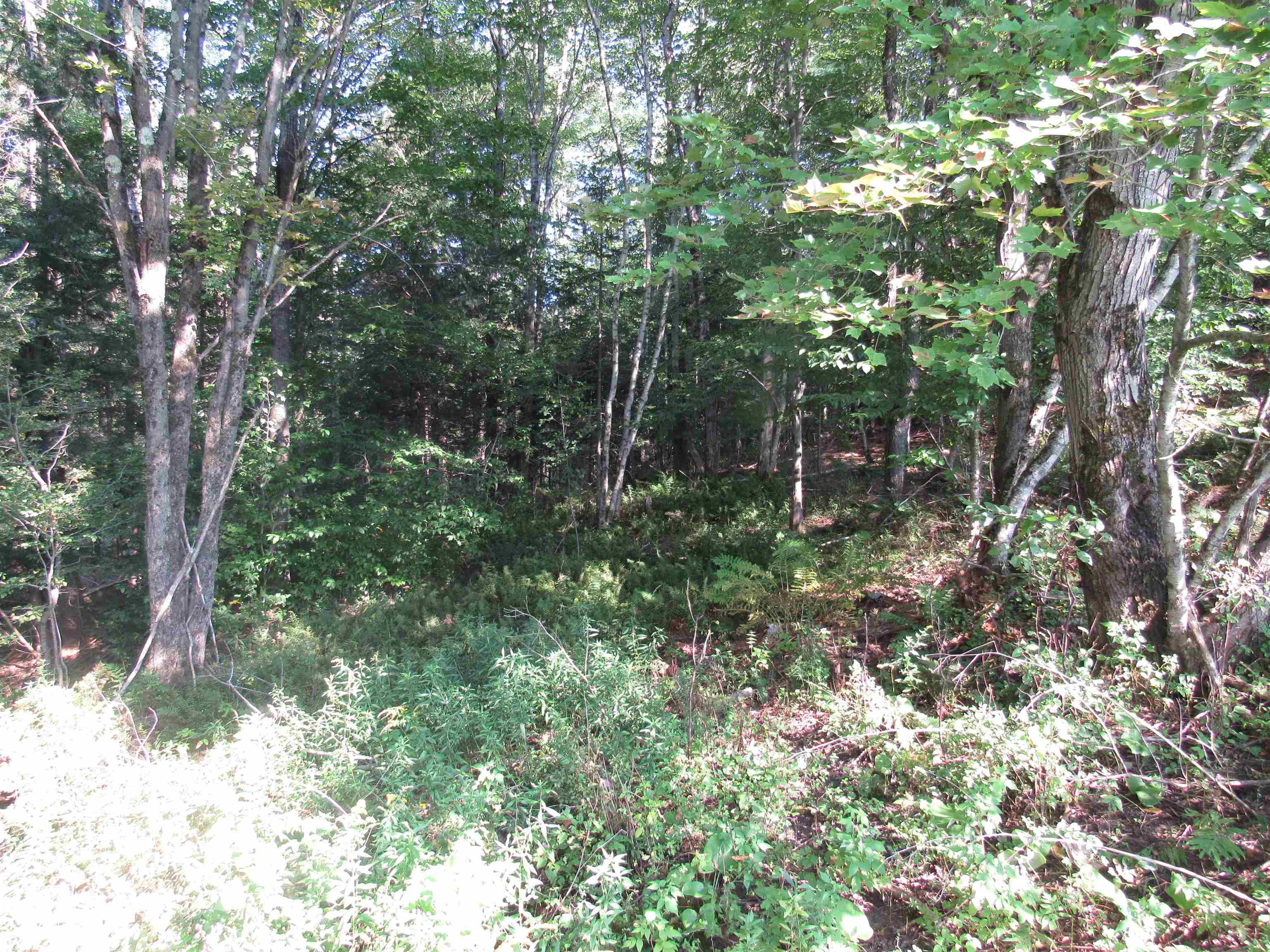 Homes for sale in Troy, VT | 0 River Rd, Troy, VT 05868 | MLS# 5013469