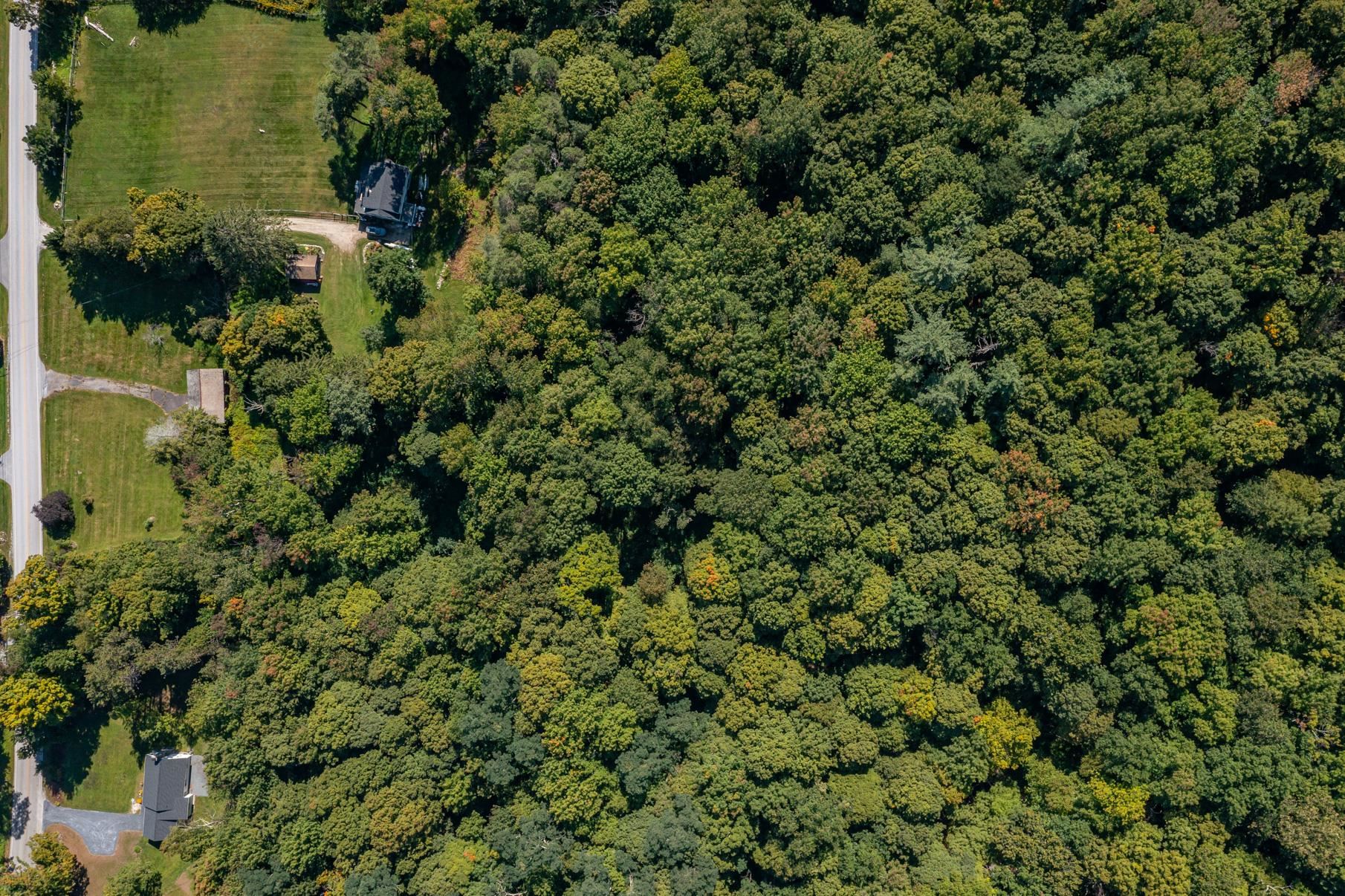 Homes for sale in Dorset, VT | 2937 Dorset West Rd, Dorset, VT 05251 | MLS# 5013651