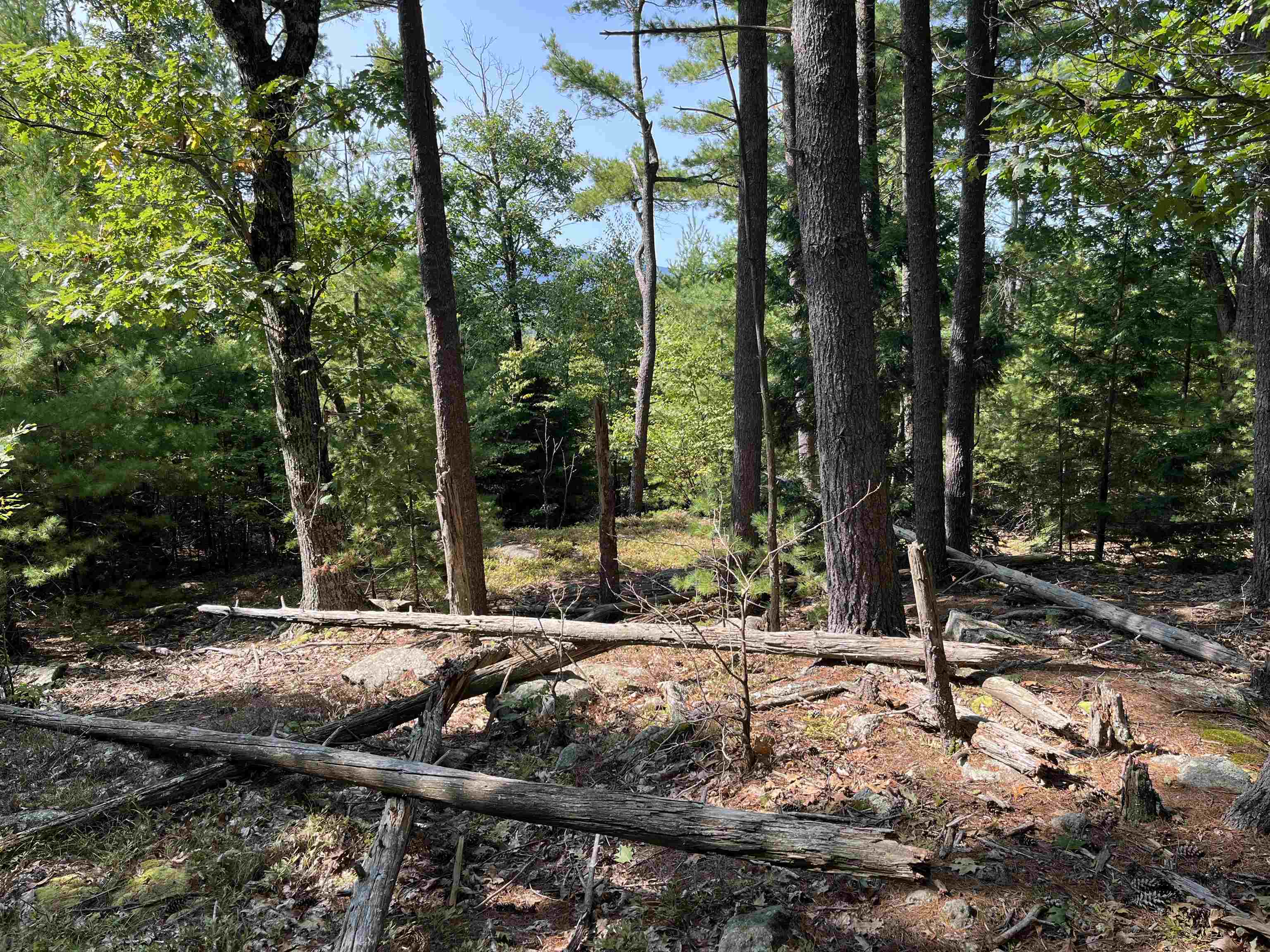 Homes for sale in Hancock, NH | Old Stoddard Rd, Hancock, NH 03449 | MLS# 5014102