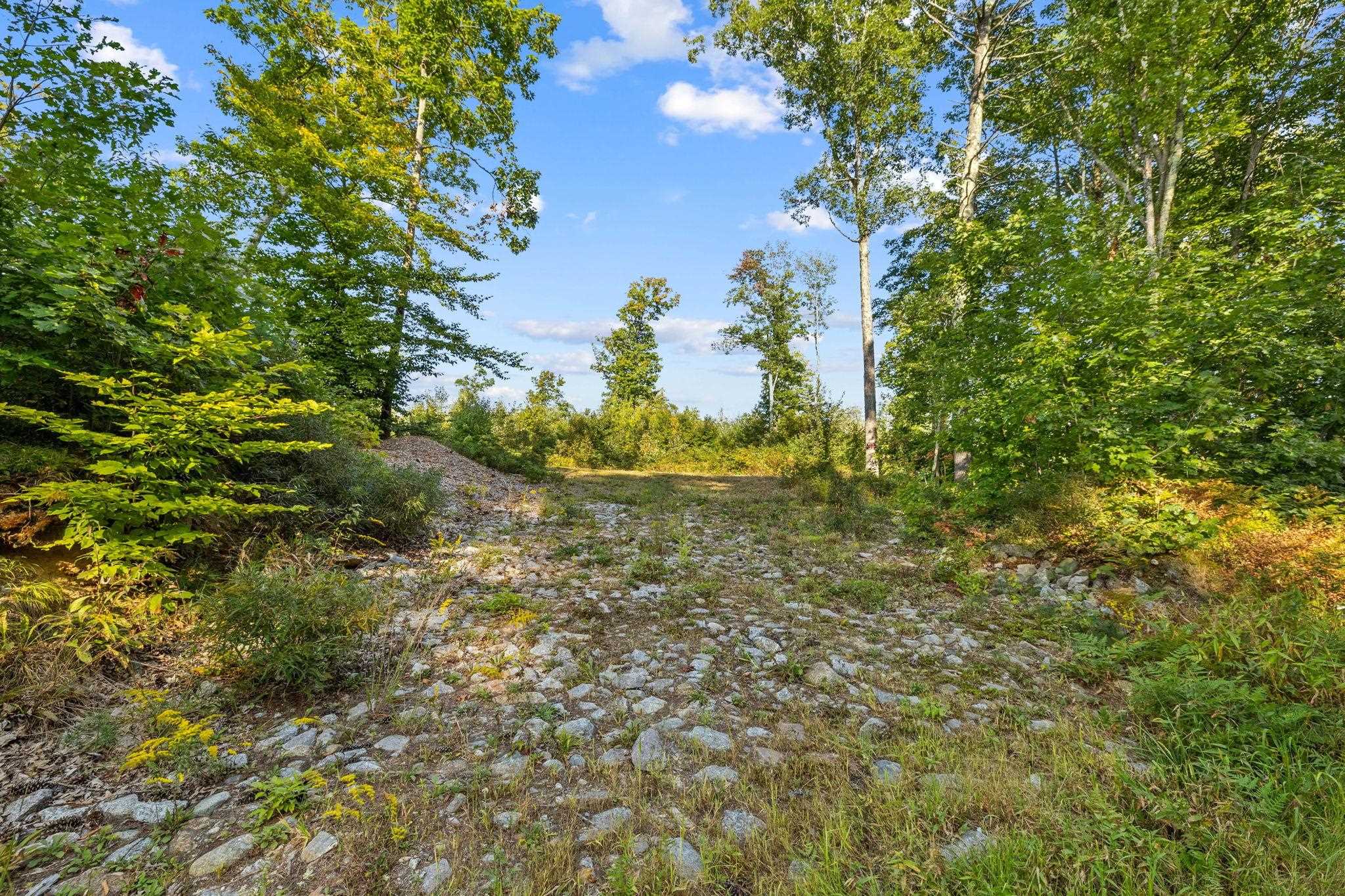 MLS #5014210 image #7