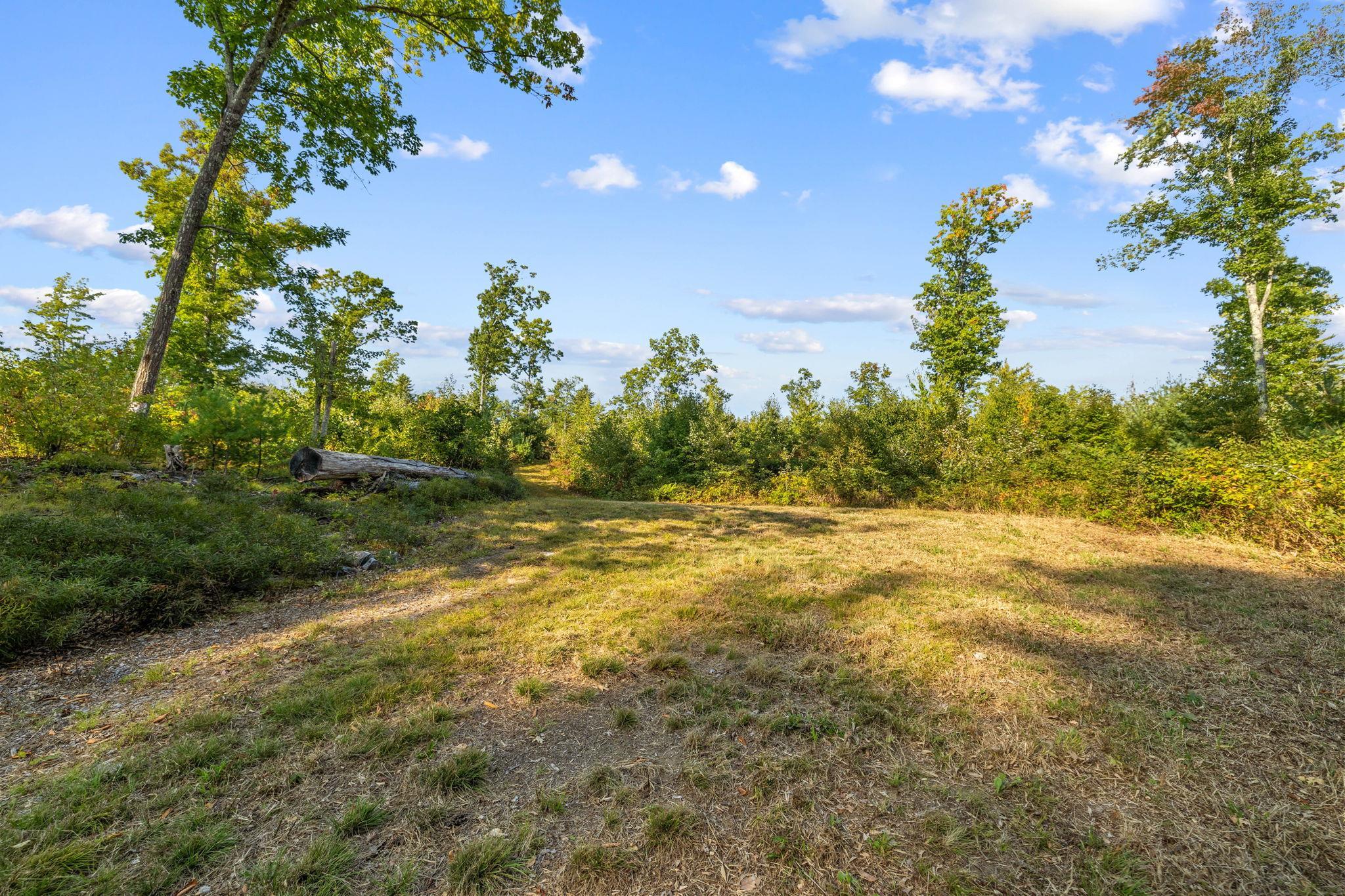 MLS #5014210 image #9