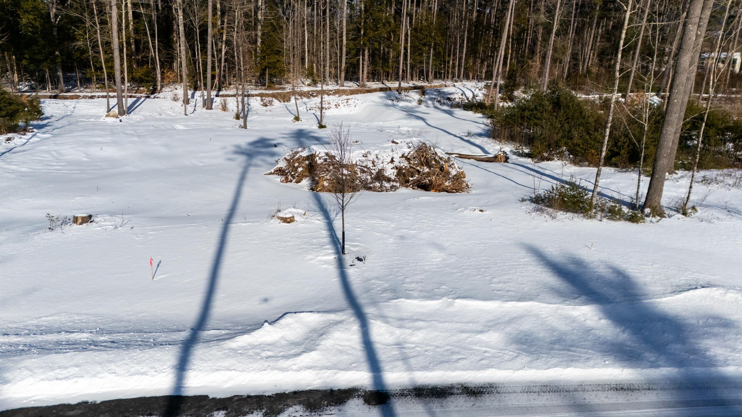 MLS #5014365 image #10