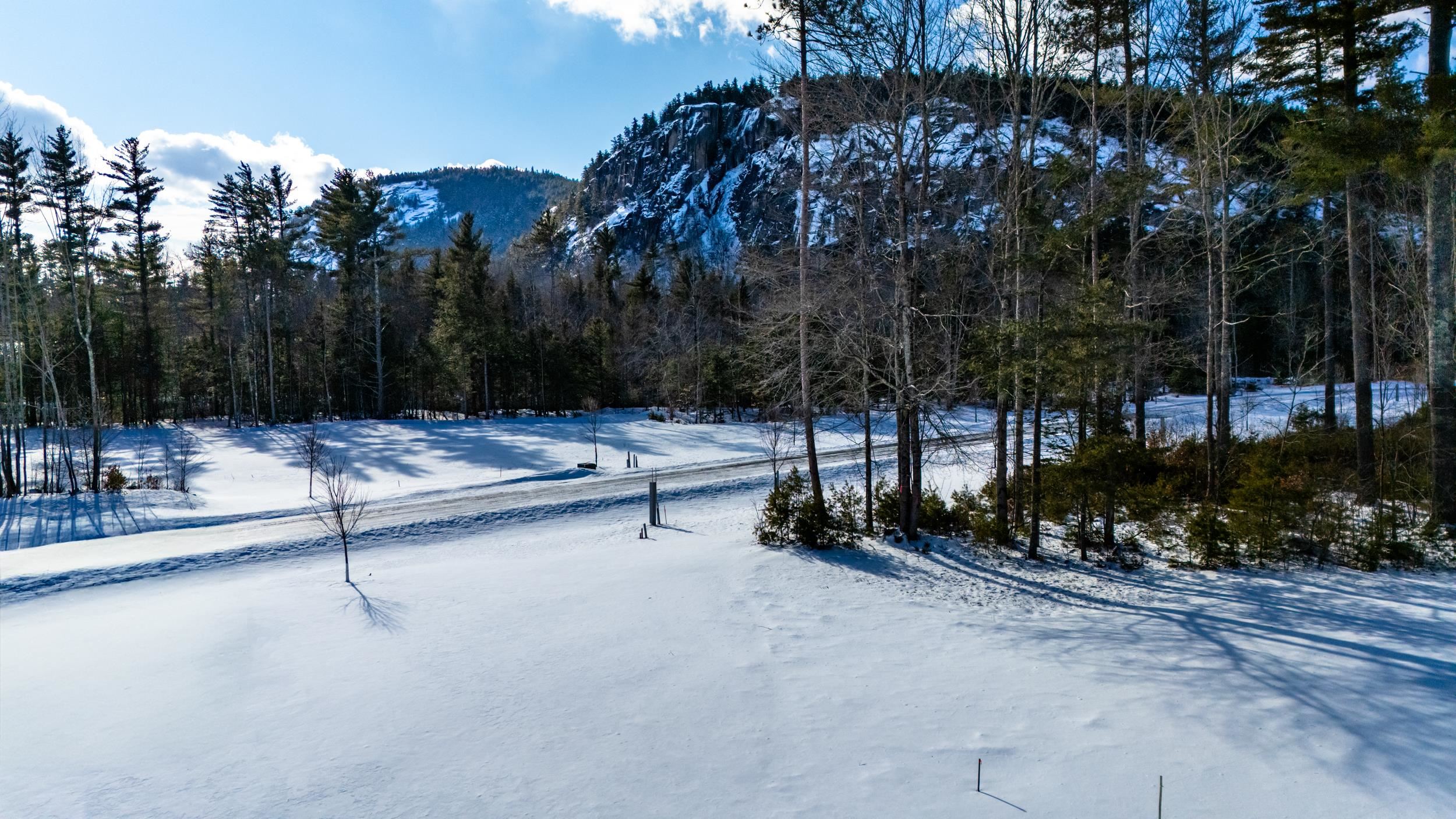 MLS #5014365 image #12