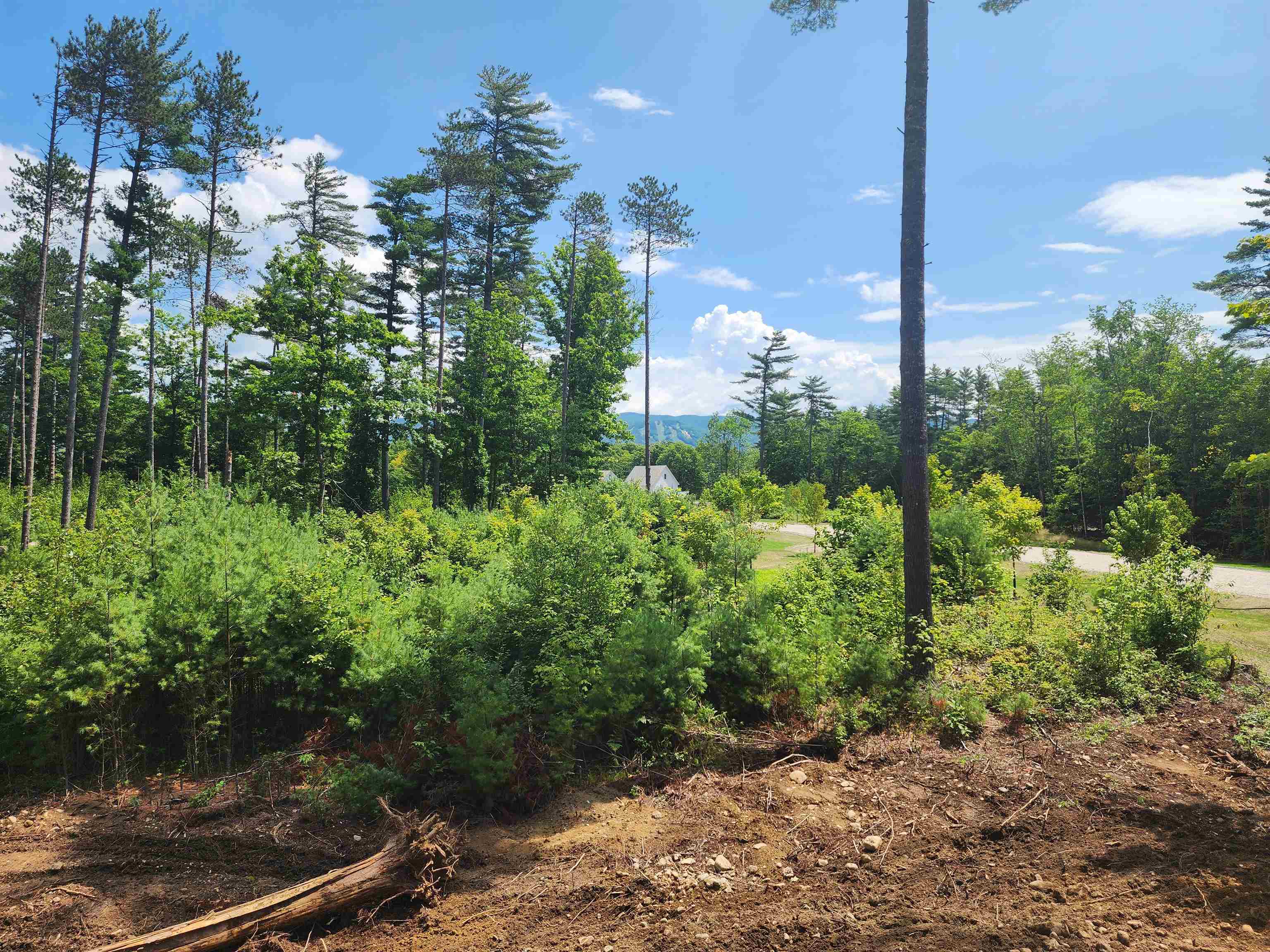 MLS #5014365 image #27