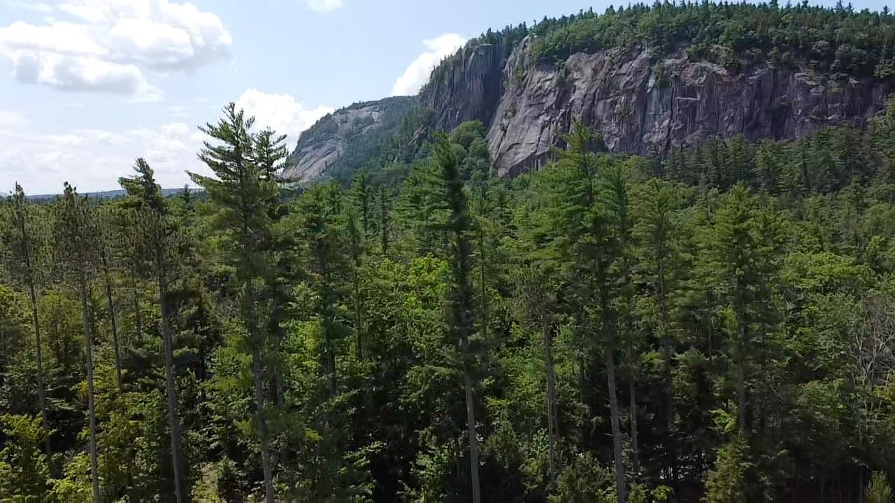 MLS #5014365 image #30