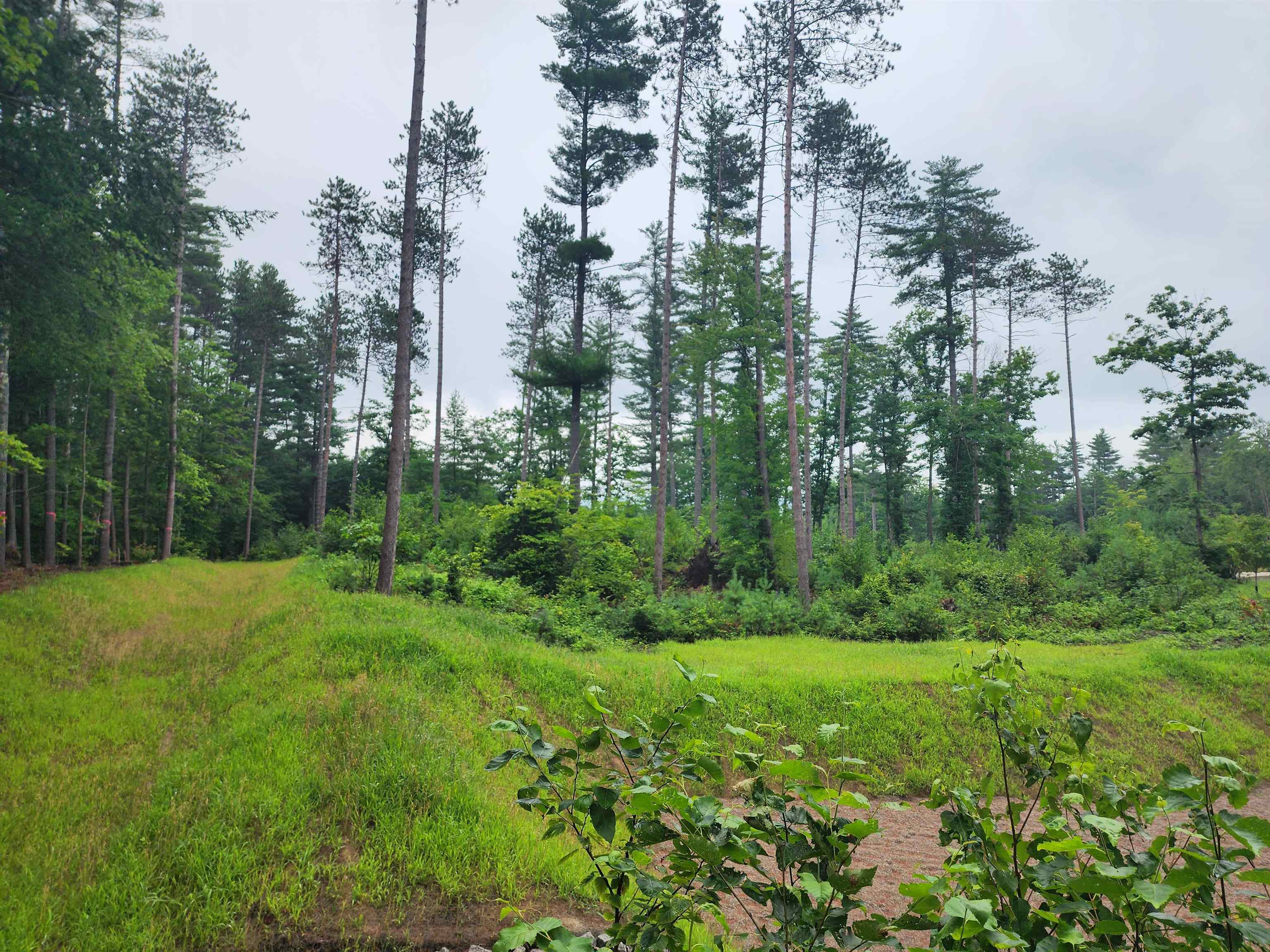 MLS #5014365 image #35