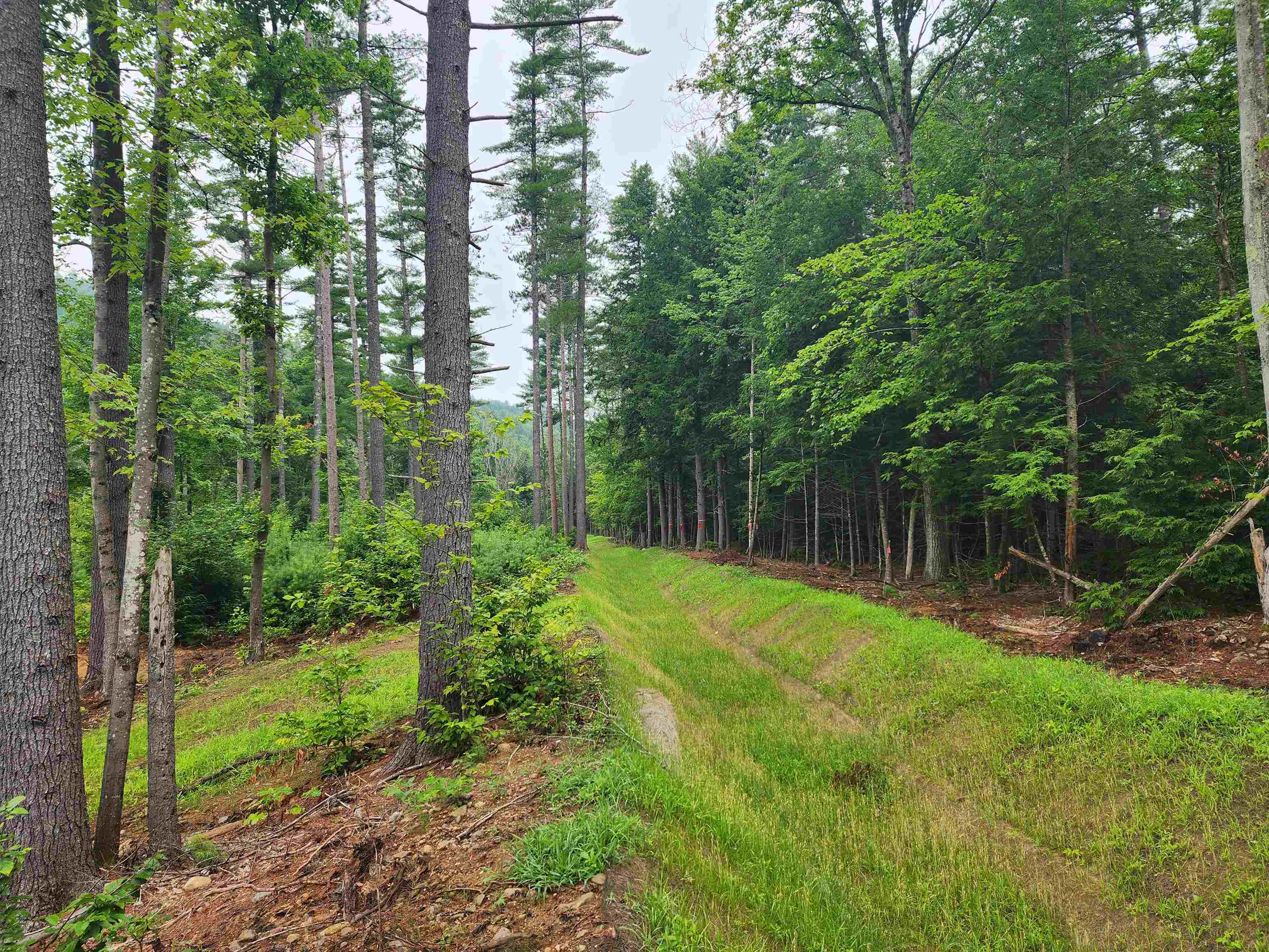 MLS #5014365 image #36