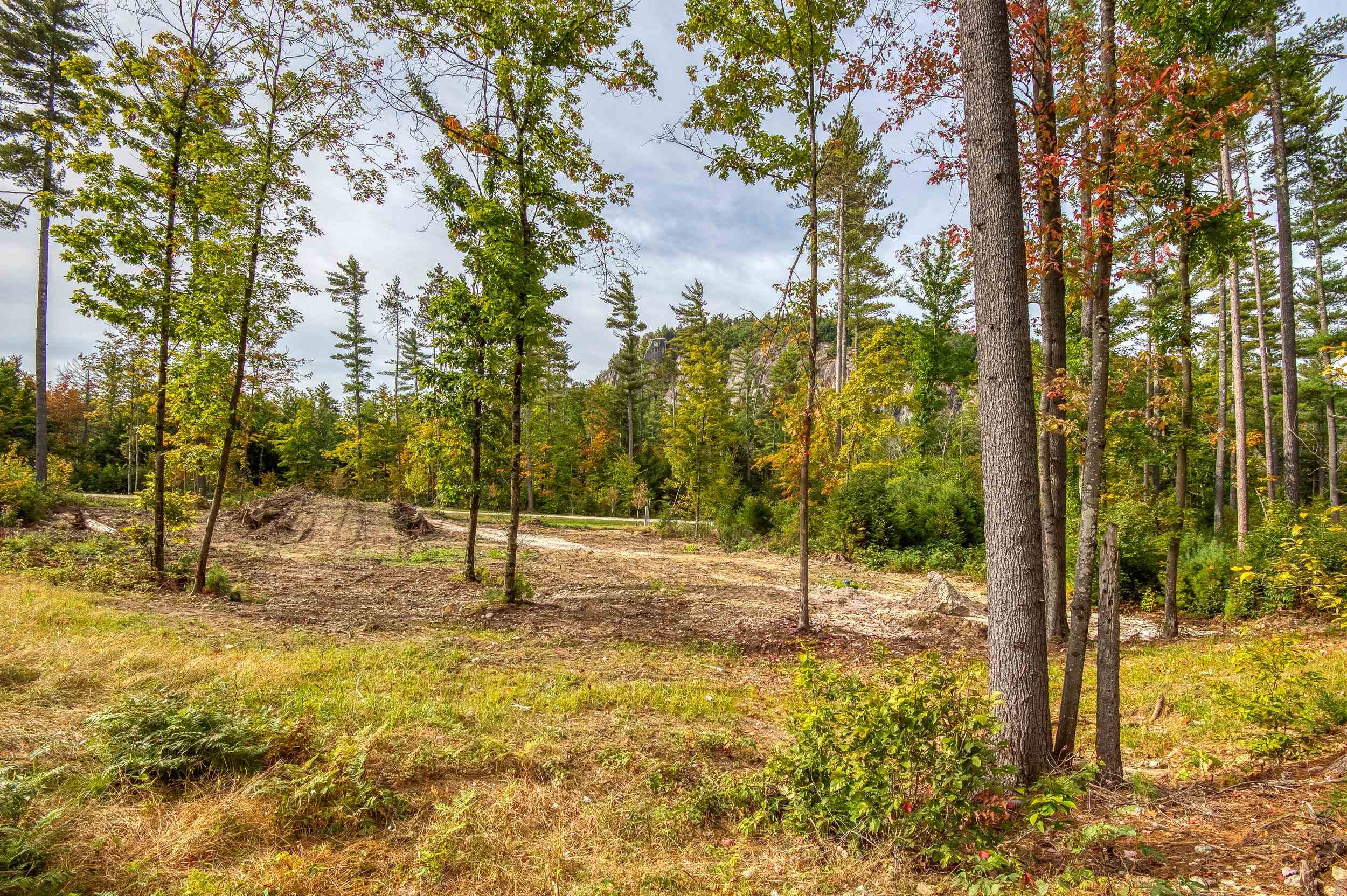 MLS #5014365 image #44