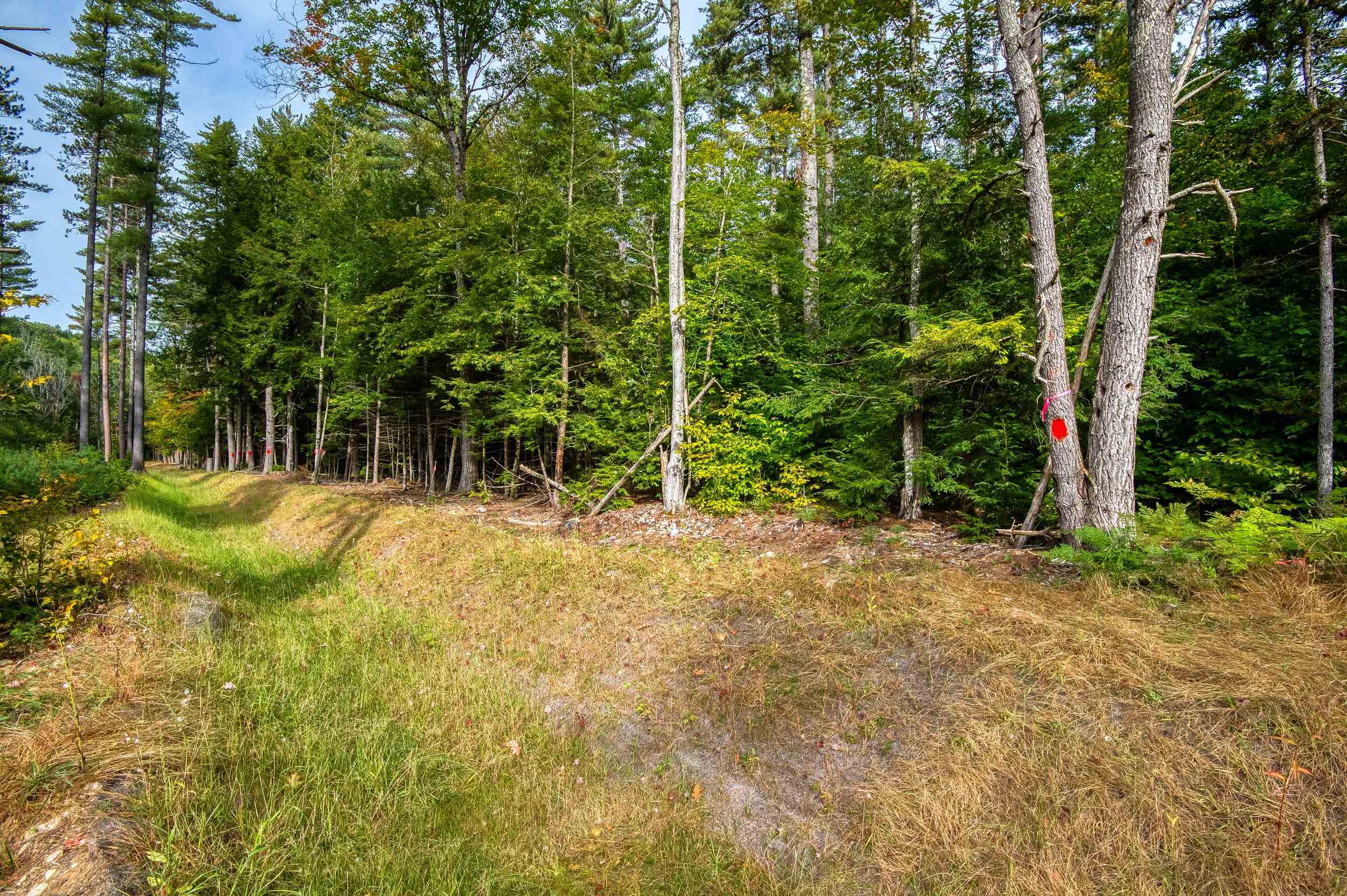 MLS #5014365 image #45