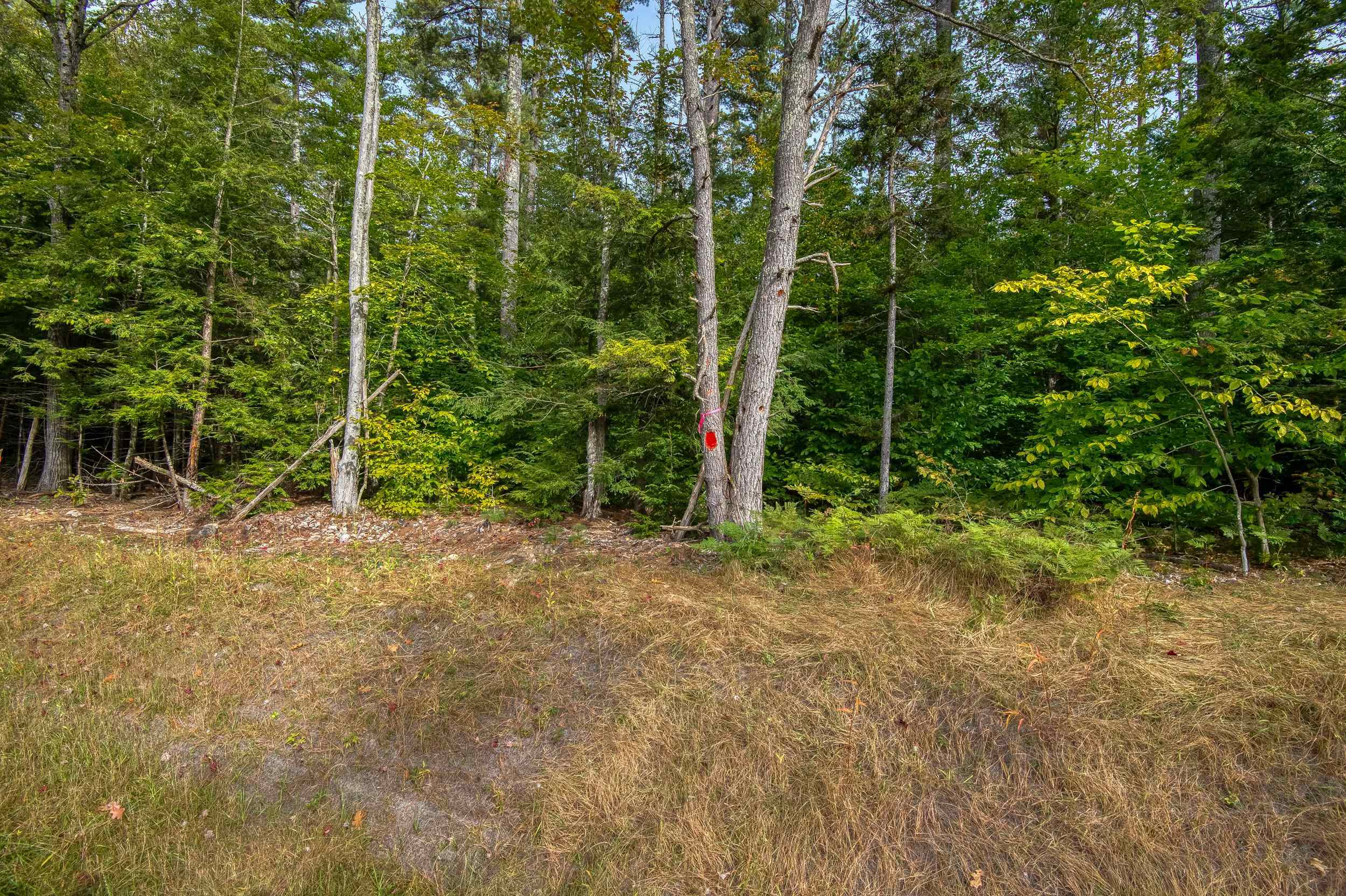 MLS #5014365 image #46