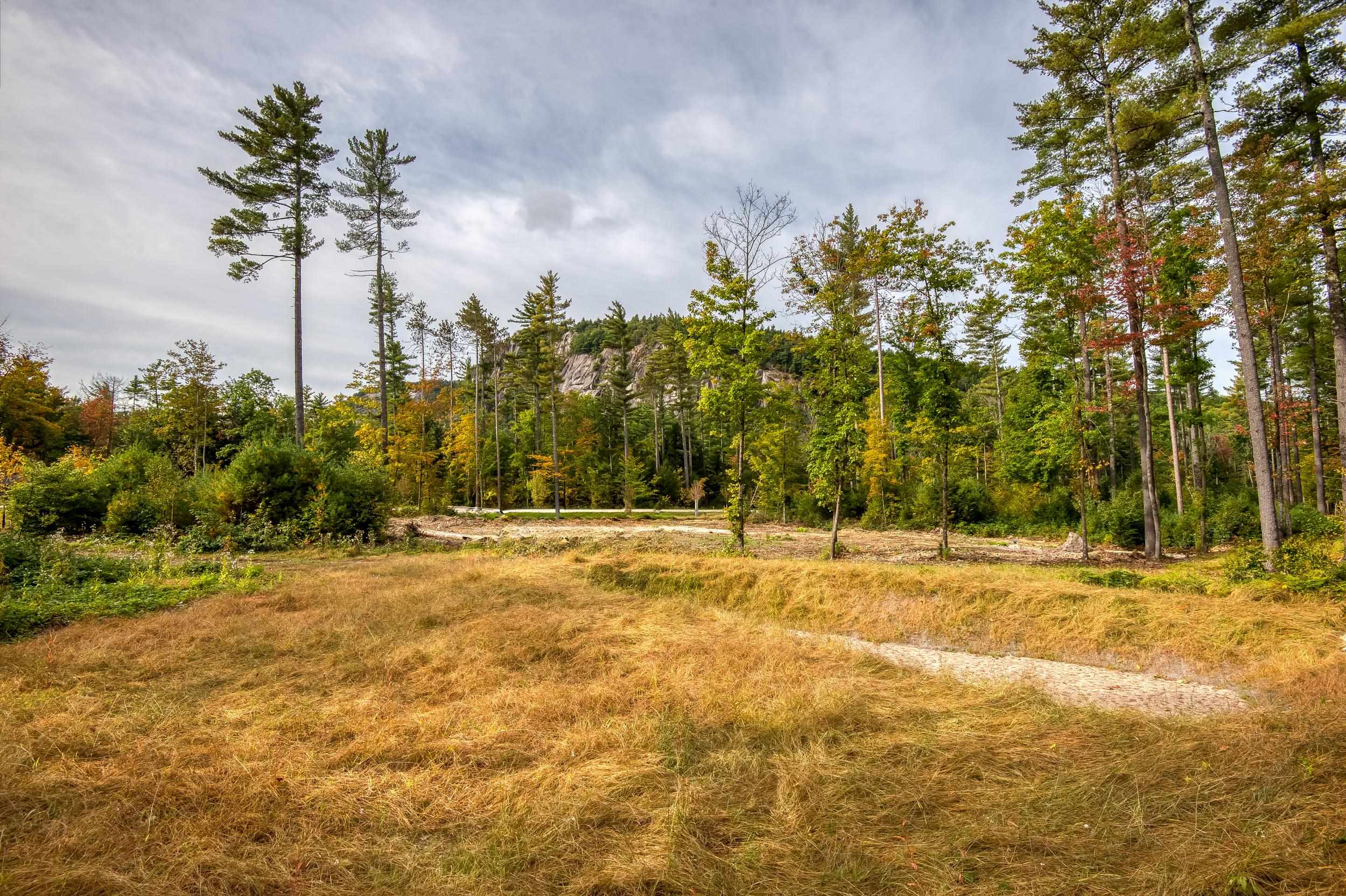 MLS #5014365 image #47