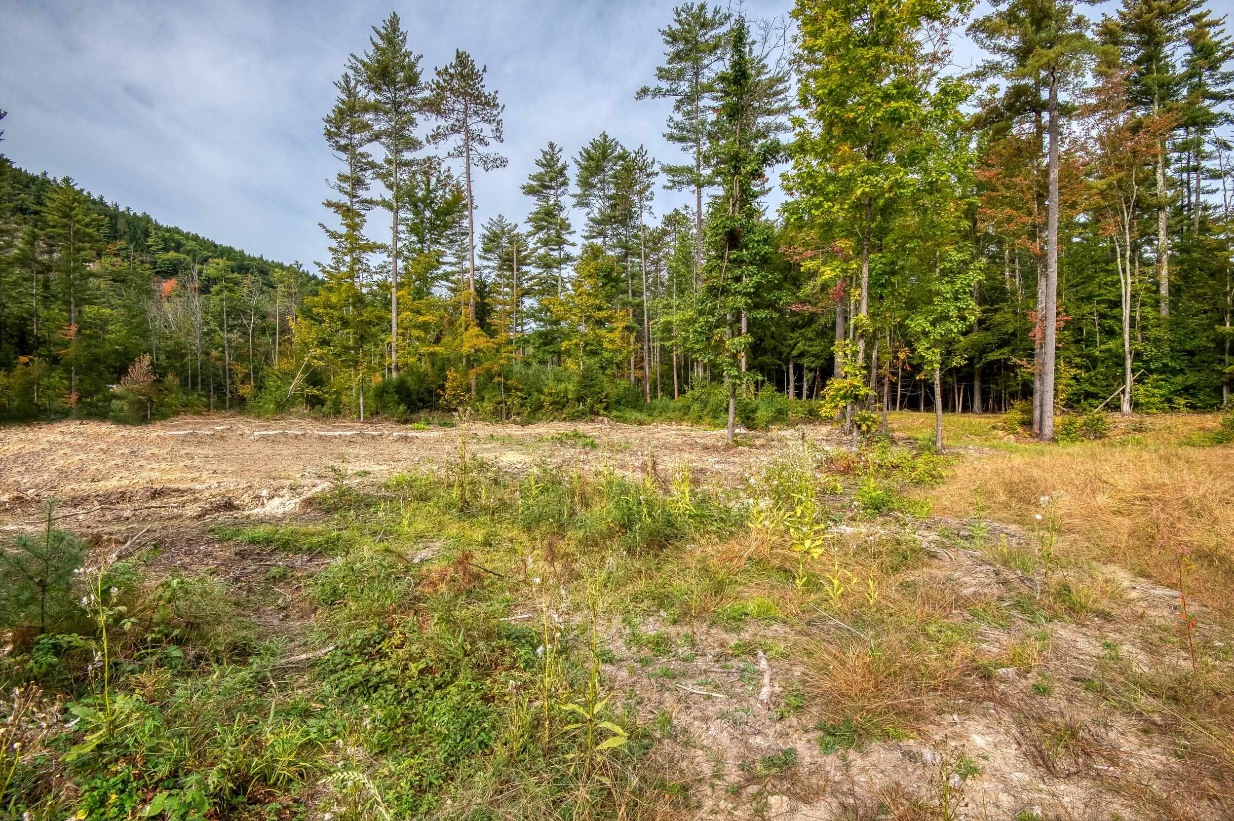 MLS #5014365 image #48