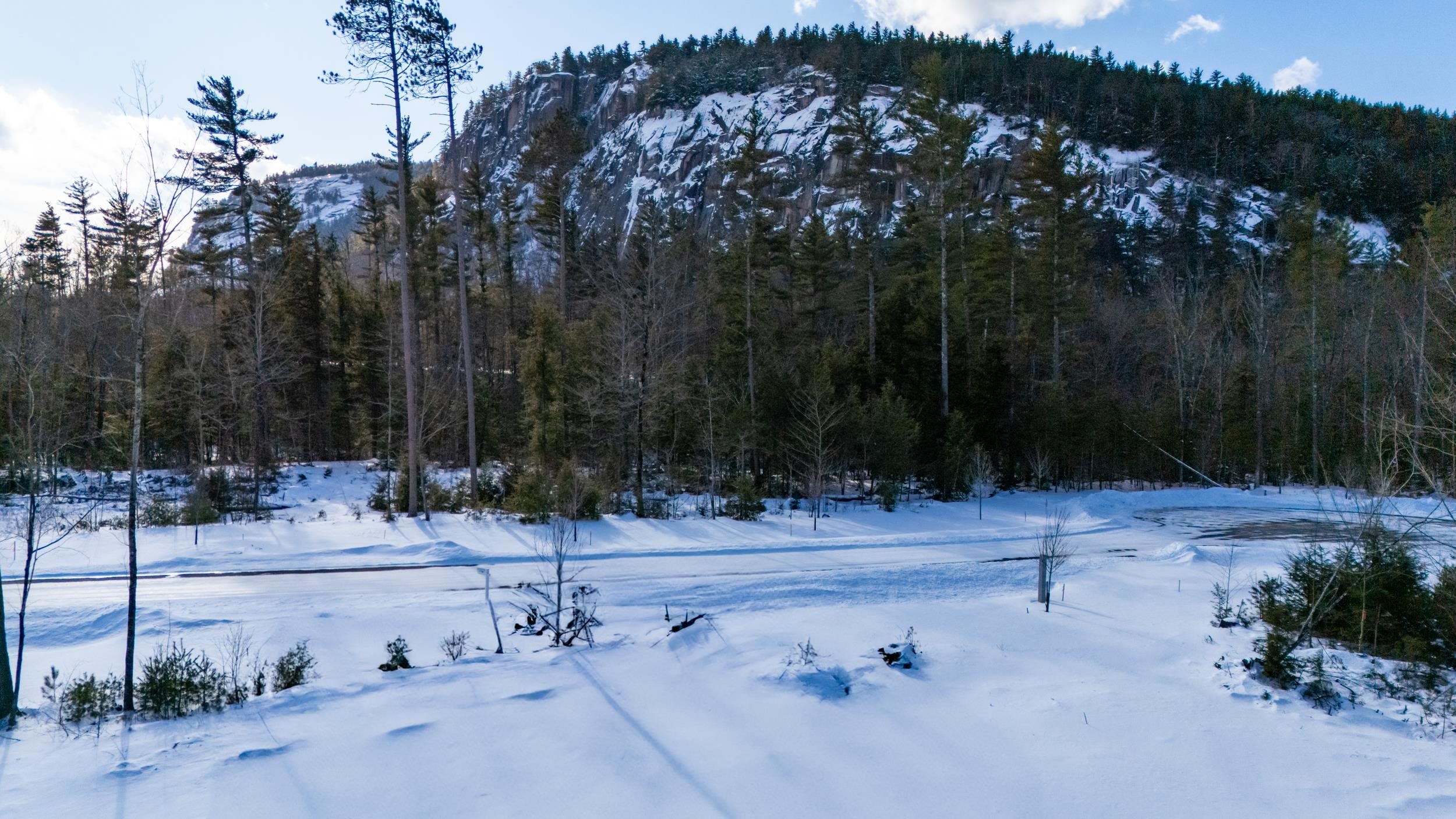 MLS #5014365 image #6