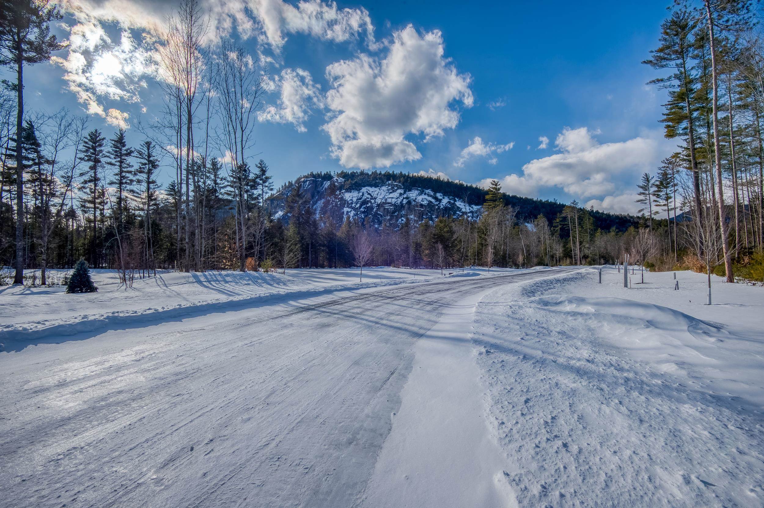 MLS #5014365 image #7