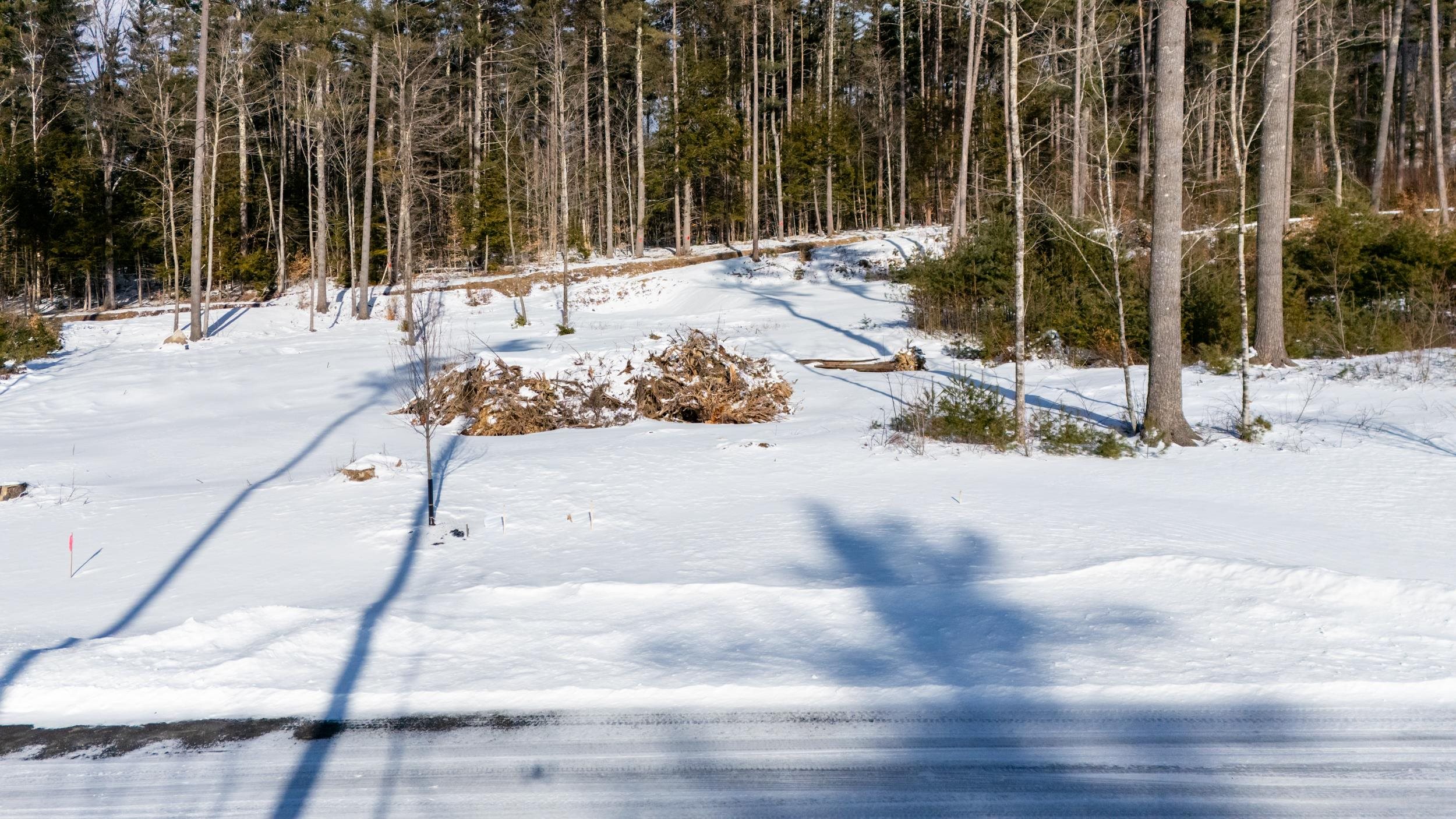 MLS #5014365 image #9