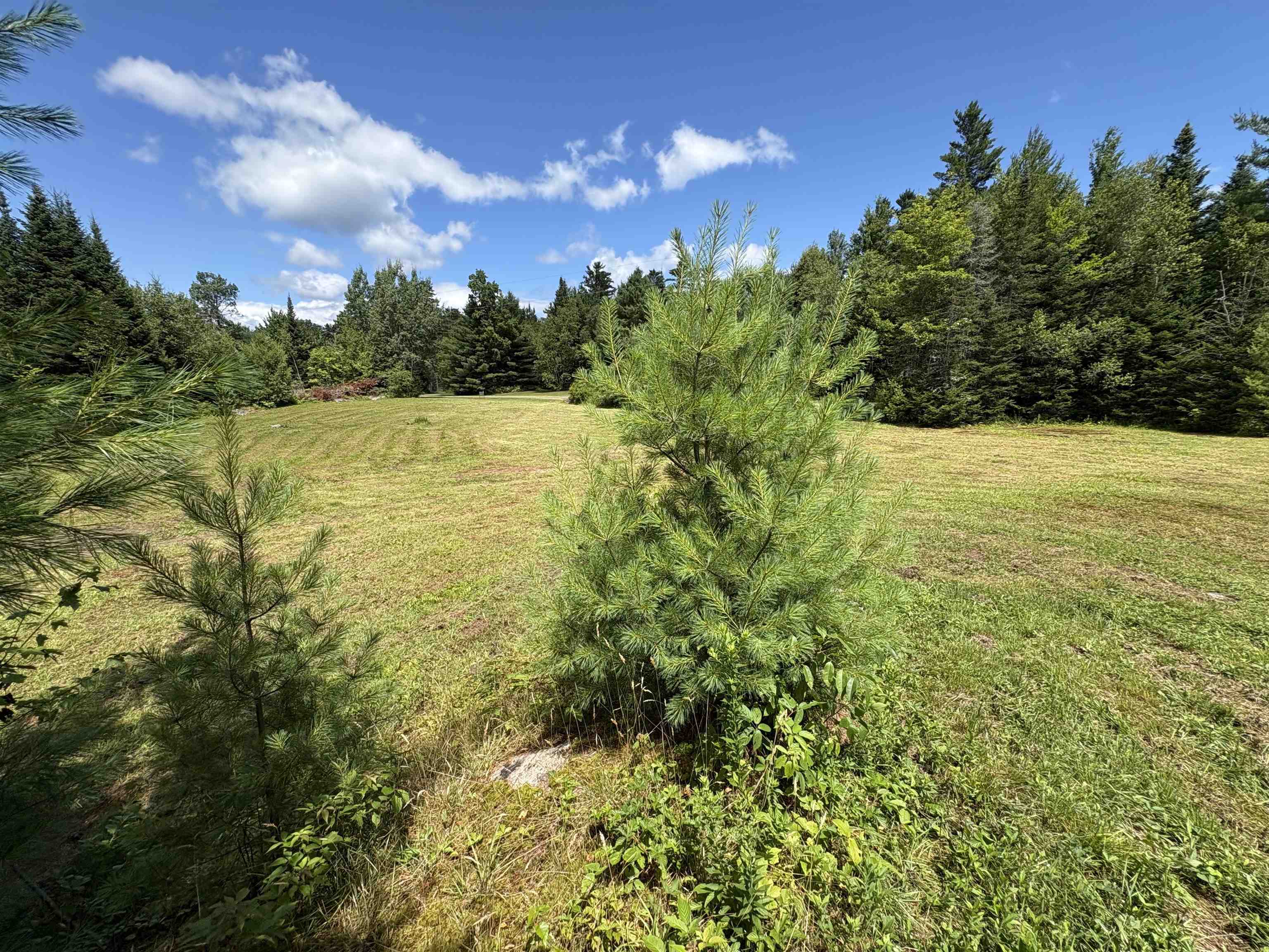 Homes for sale in Hyde Park, VT | 4366 Vt Rt 100, Hyde Park, VT 05655 | MLS# 5015731