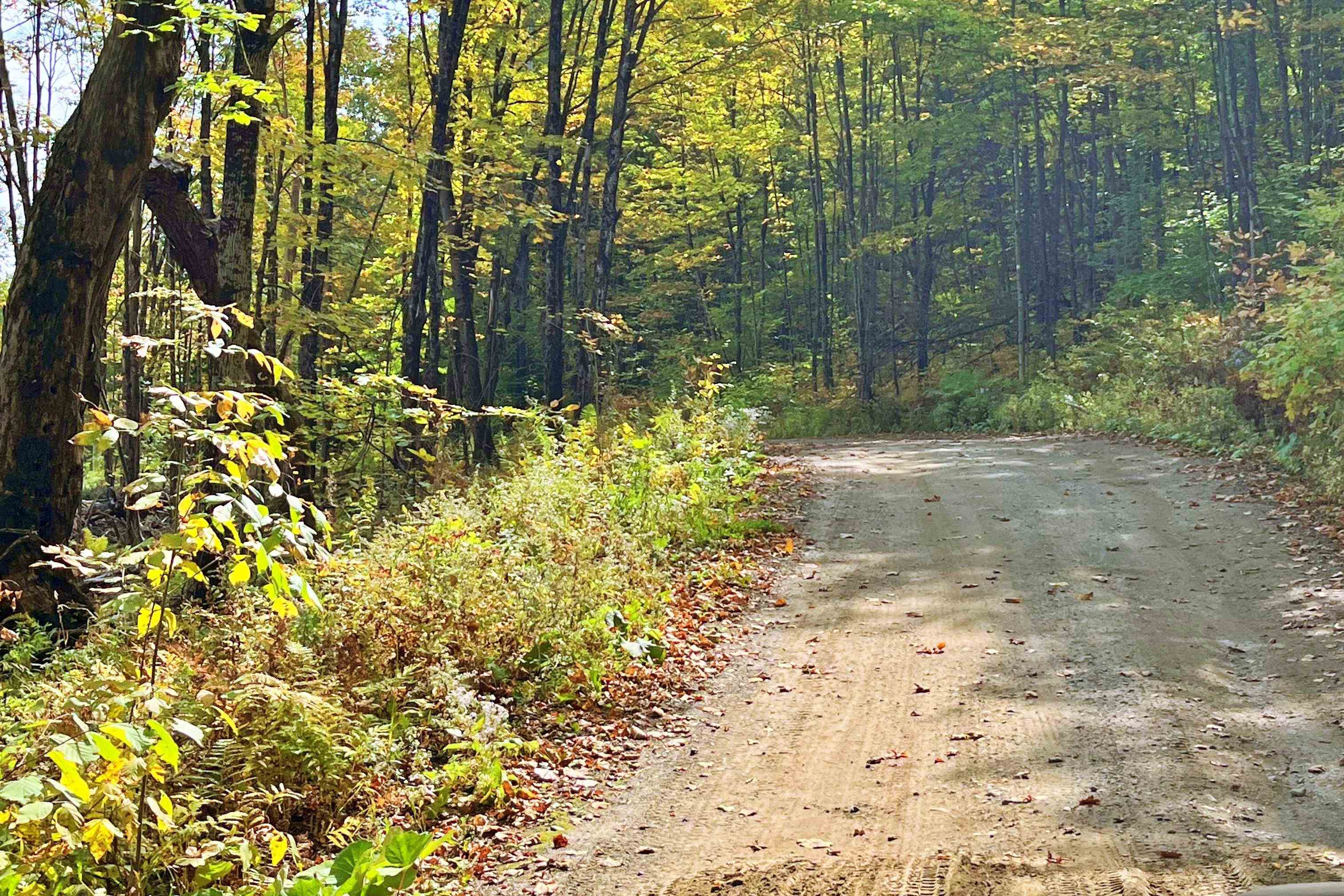 Homes for sale in Newport Town, VT | 842 Gibbs Rd, Newport Town, VT 05857 | MLS# 5016071