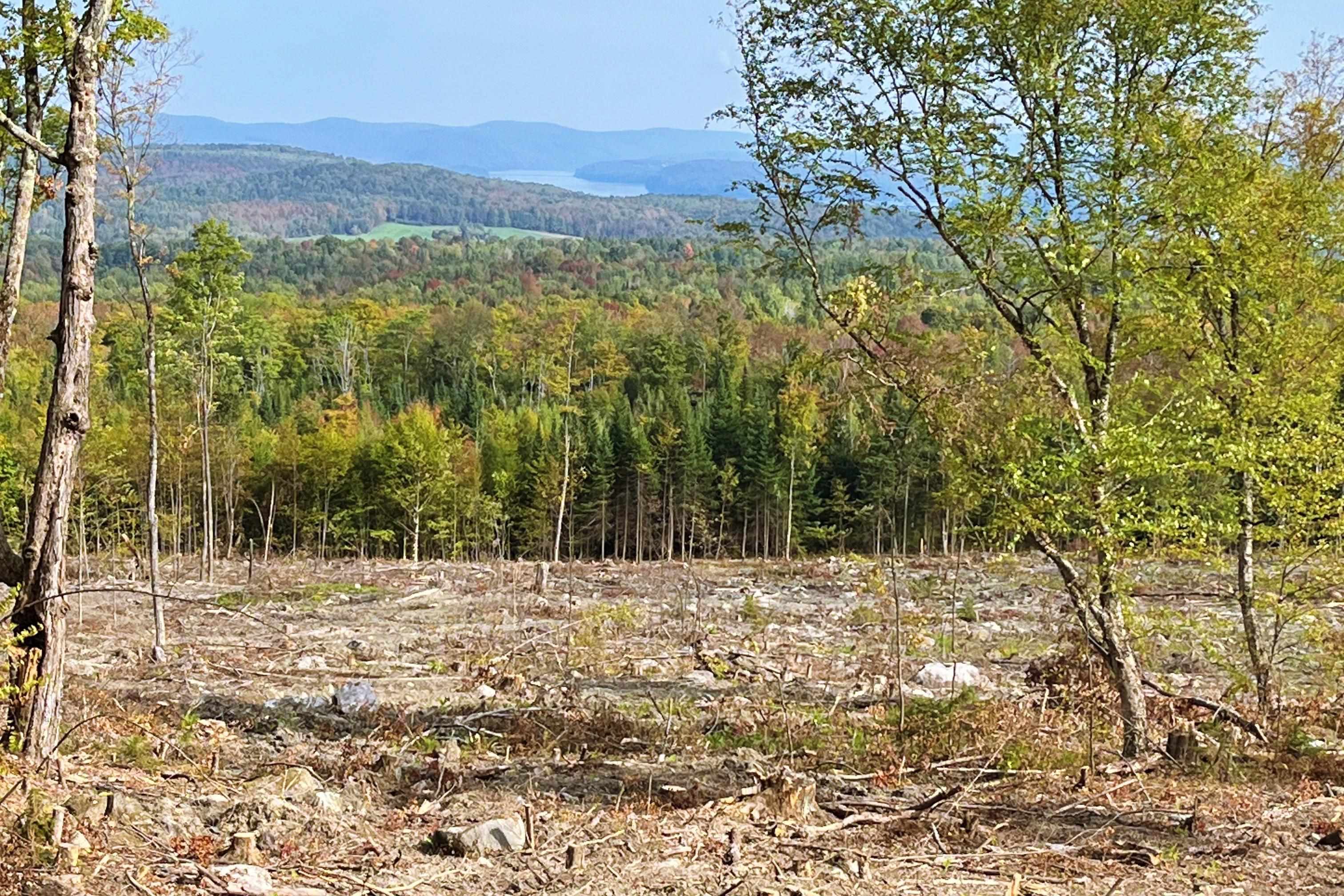 Homes for sale in Newport Town, VT | 842 Gibbs Rd, Newport Town, VT 05857 | MLS# 5016071