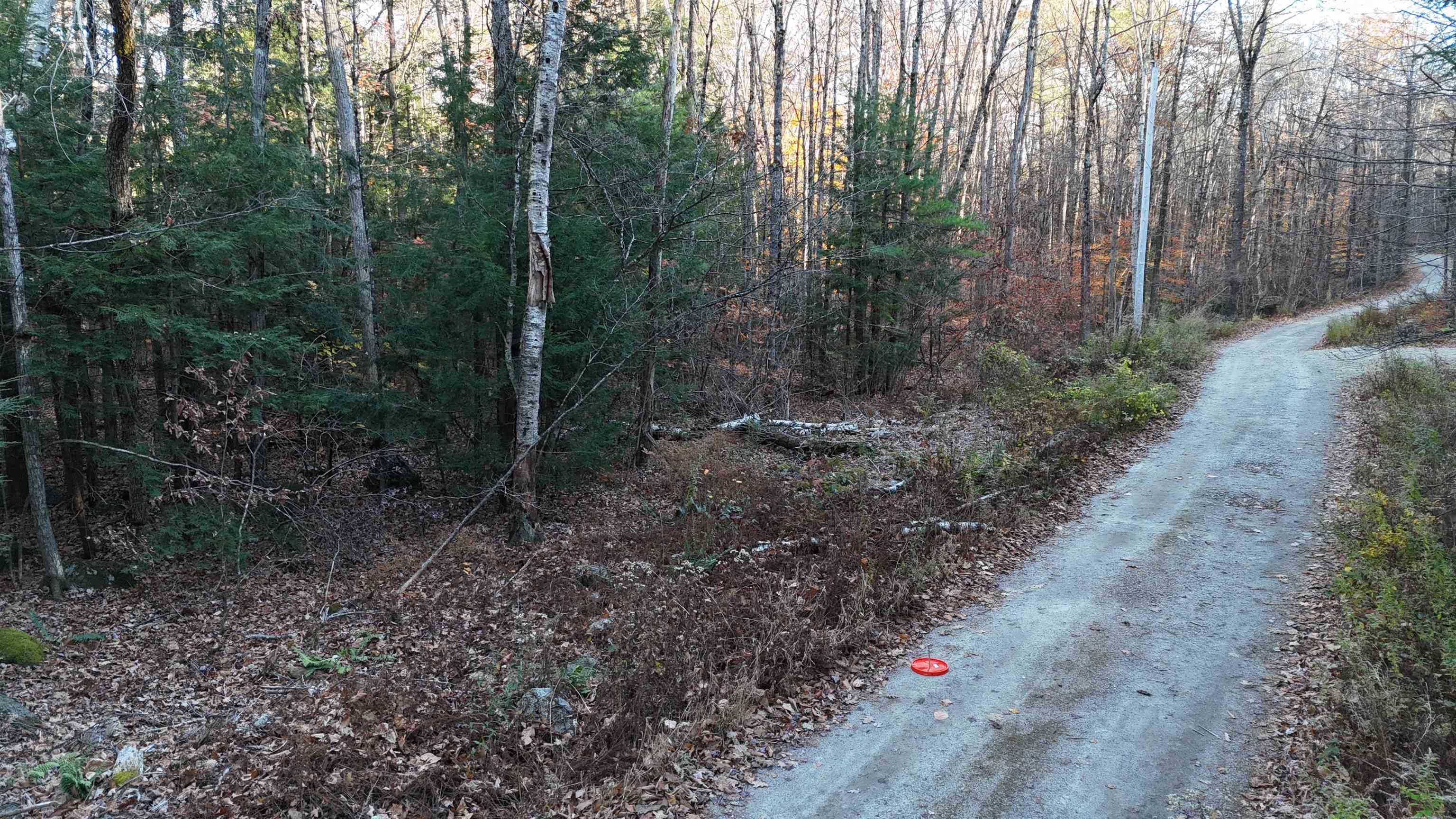 Homes for sale in Henniker, NH | 00 Whitney Rd, Henniker, NH 03242 | MLS# 5016325