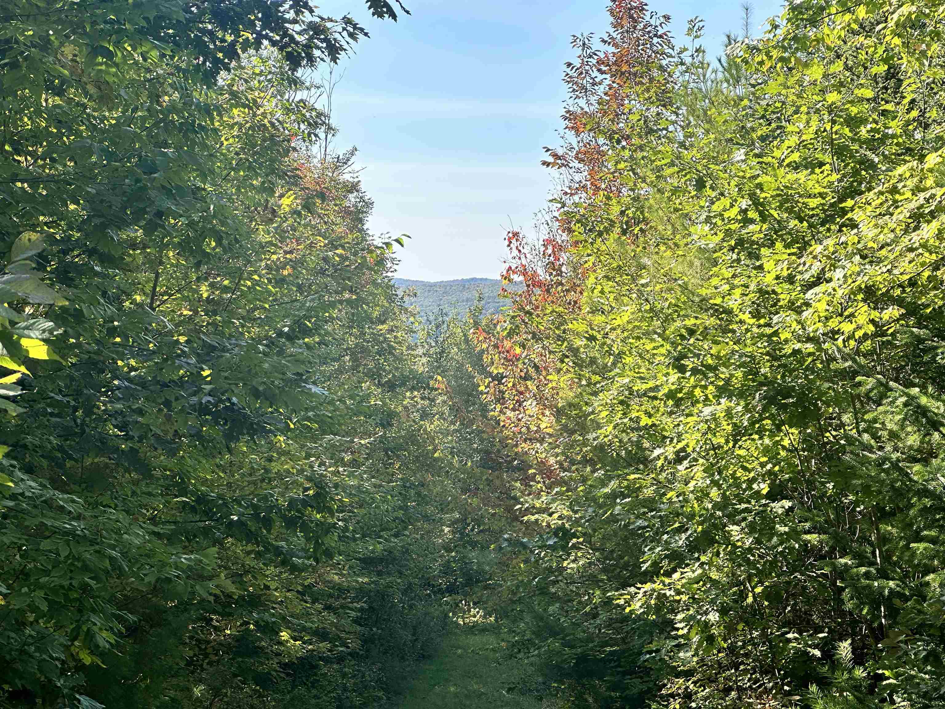 Homes for sale in Littleton, NH | 000 N Littleton Rd, Littleton, NH 03561 | MLS# 5016516