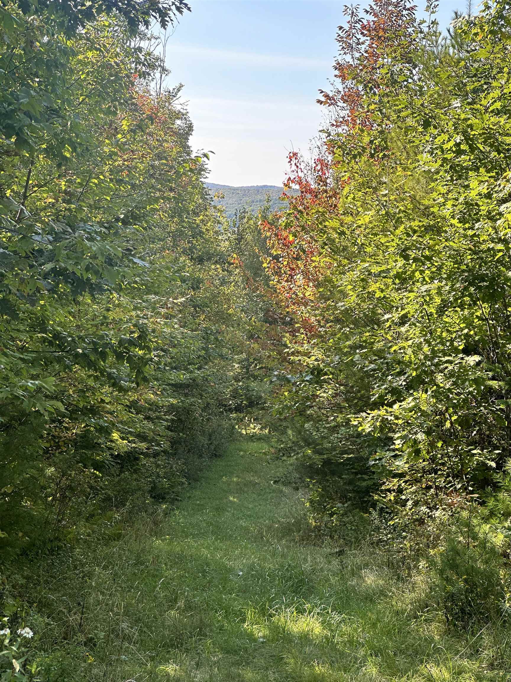 Homes for sale in Littleton, NH | 000 N Littleton Rd, Littleton, NH 03561 | MLS# 5016516