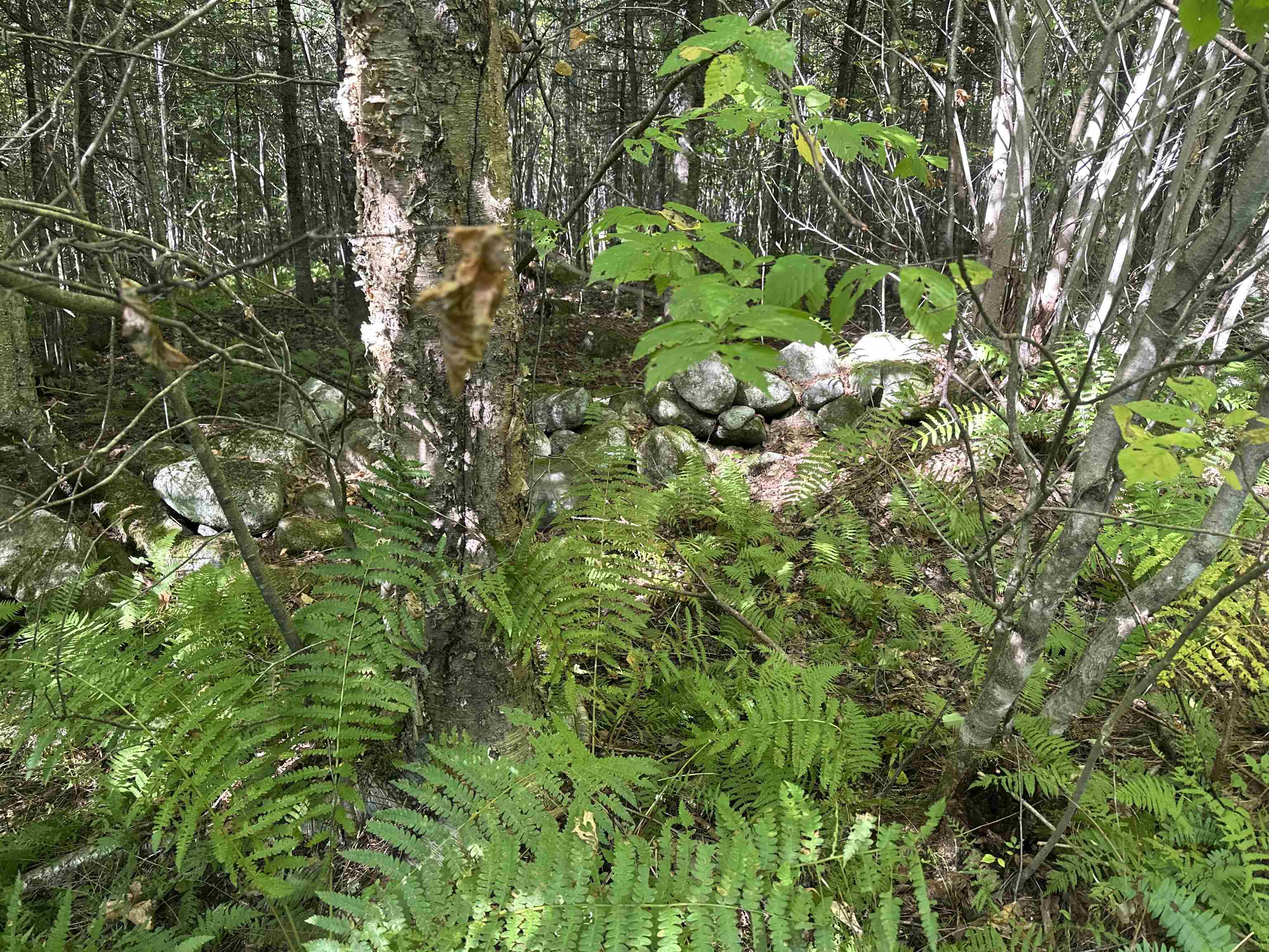 000 N Littleton Rd, Littleton, NH 03561