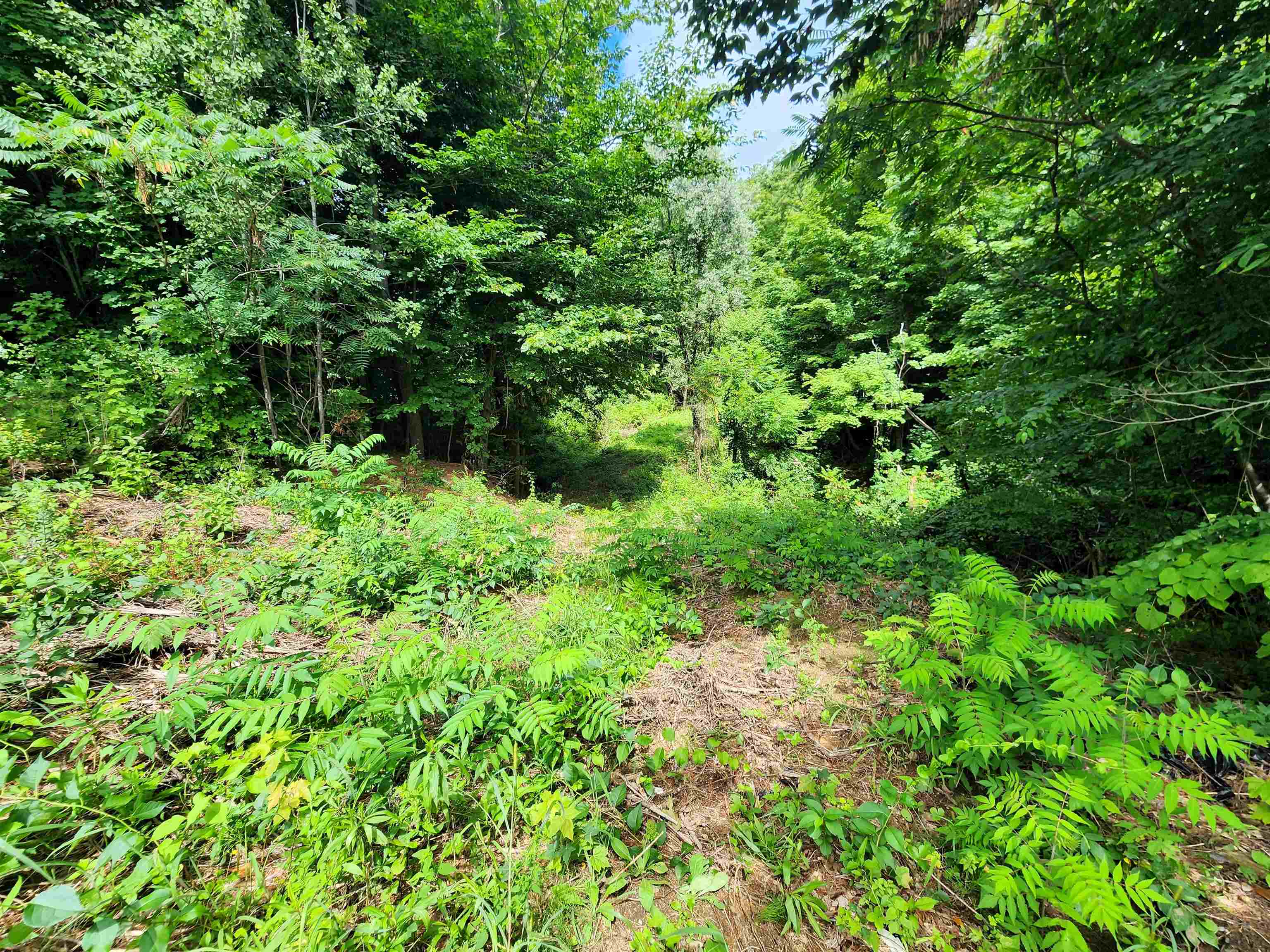 Homes for sale in Springfield, VT | 00 Eaton Ave, Springfield, VT 05156 | MLS# 5016994