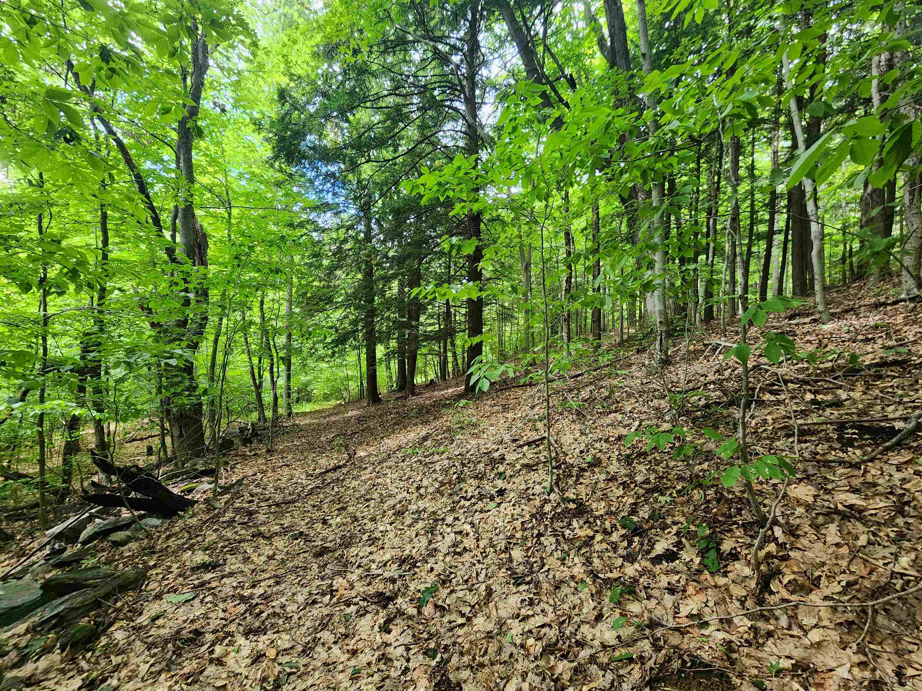 Homes for sale in Springfield, VT | 00 Eaton Ave, Springfield, VT 05156 | MLS# 5016994