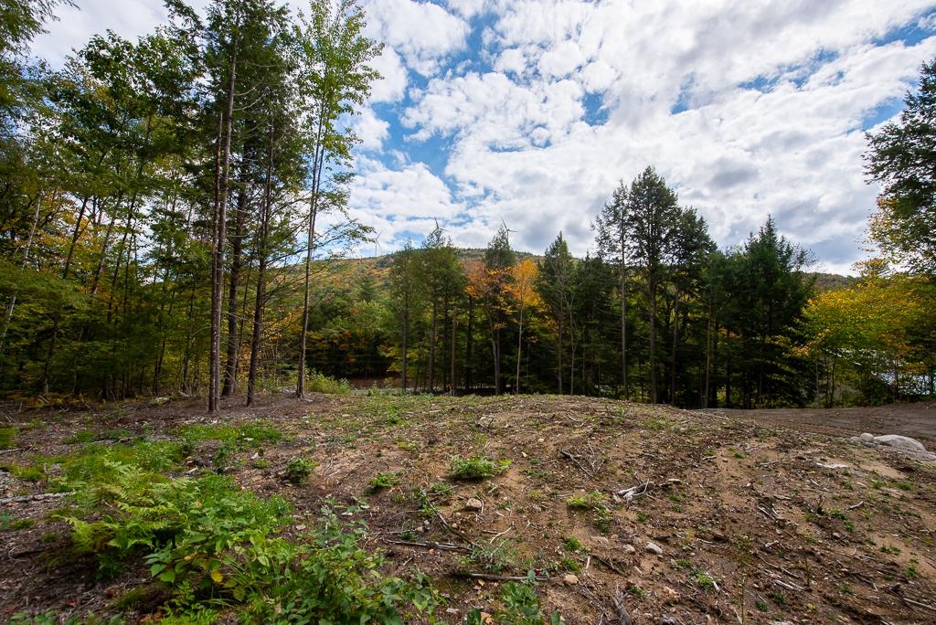 Homes for sale in Rumney, NH | 12-12-10-4 Jacob Hall Farm Rd, Rumney, NH 03266 | MLS# 5017237