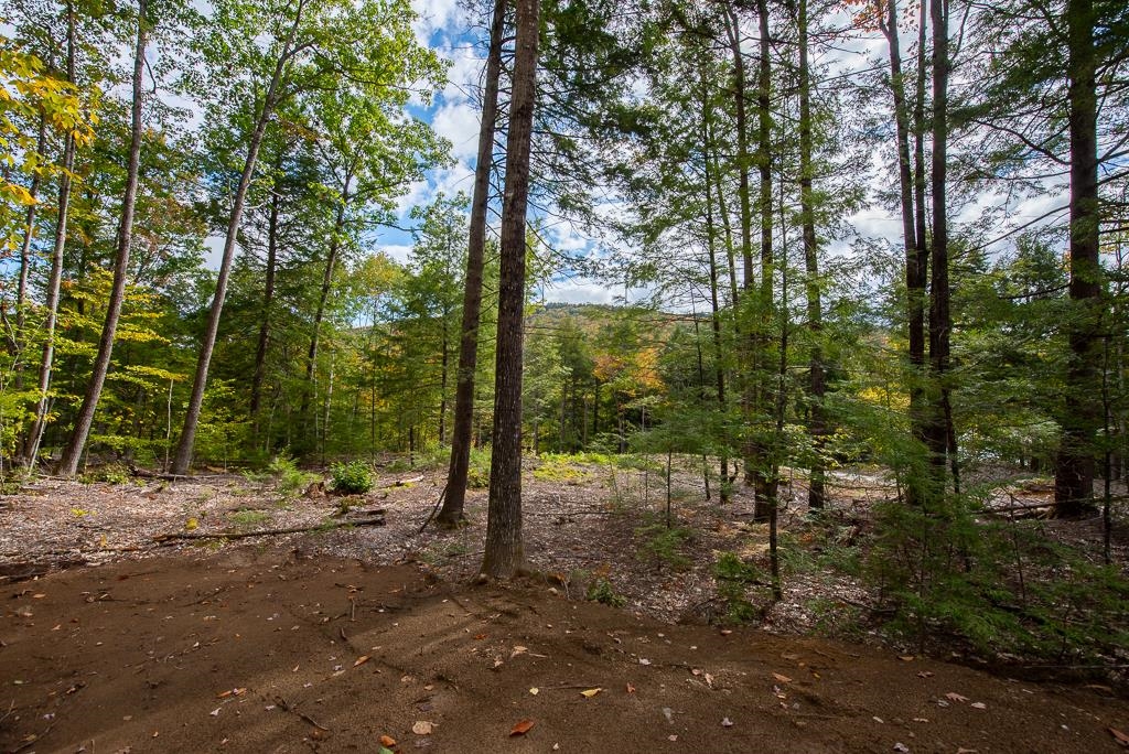 Homes for sale in Rumney, NH | 12-12-10-4 Jacob Hall Farm Rd, Rumney, NH 03266 | MLS# 5017237