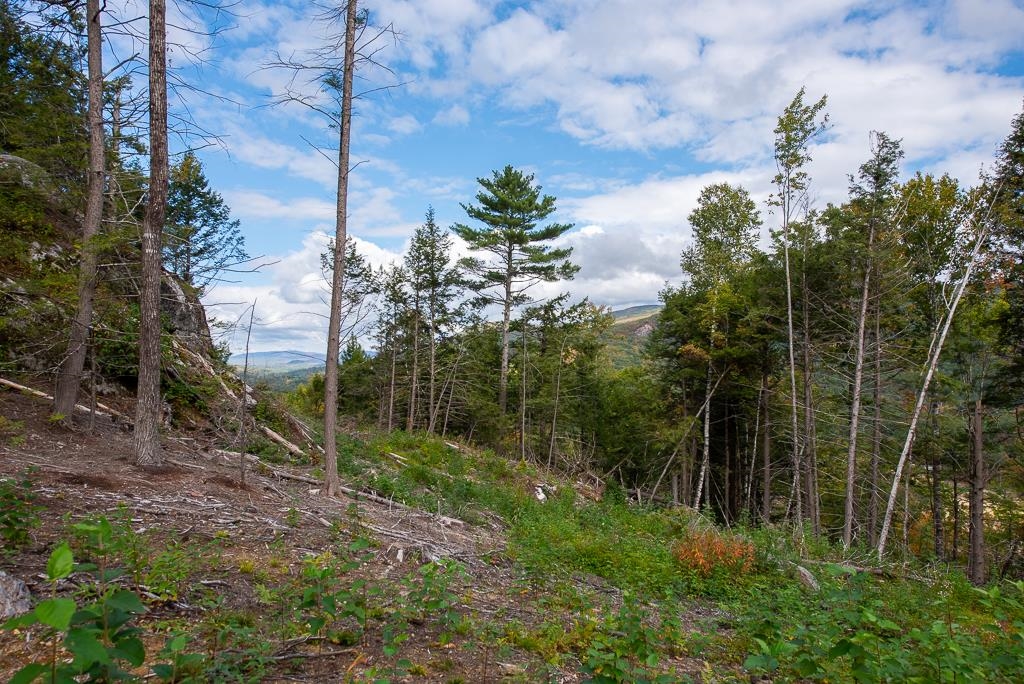 12-12-10-8 Jacob Hall Farm Rd, Rumney, NH 03266