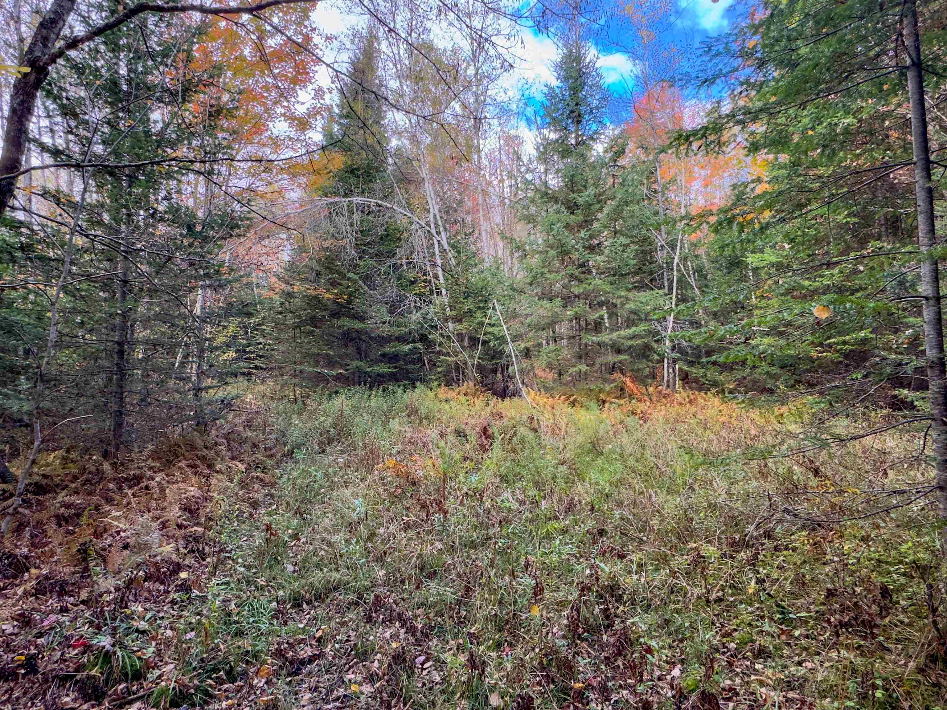 Homes for sale in Lunenburg, VT | 00 West Main St, Lunenburg, VT 05906 | MLS# 5017493