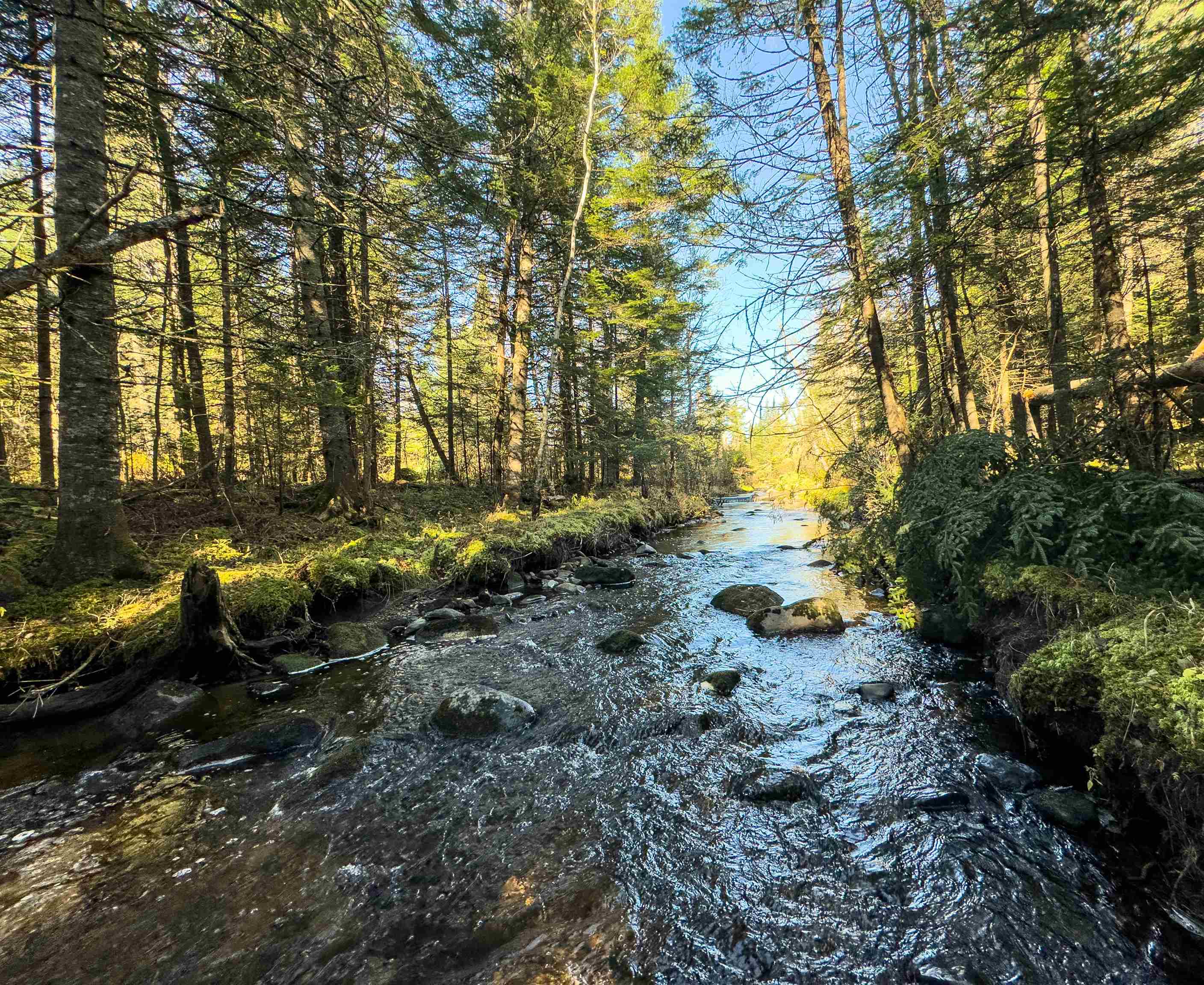 Homes for sale in Lunenburg, VT | 00 West Main St, Lunenburg, VT 05906 | MLS# 5017493