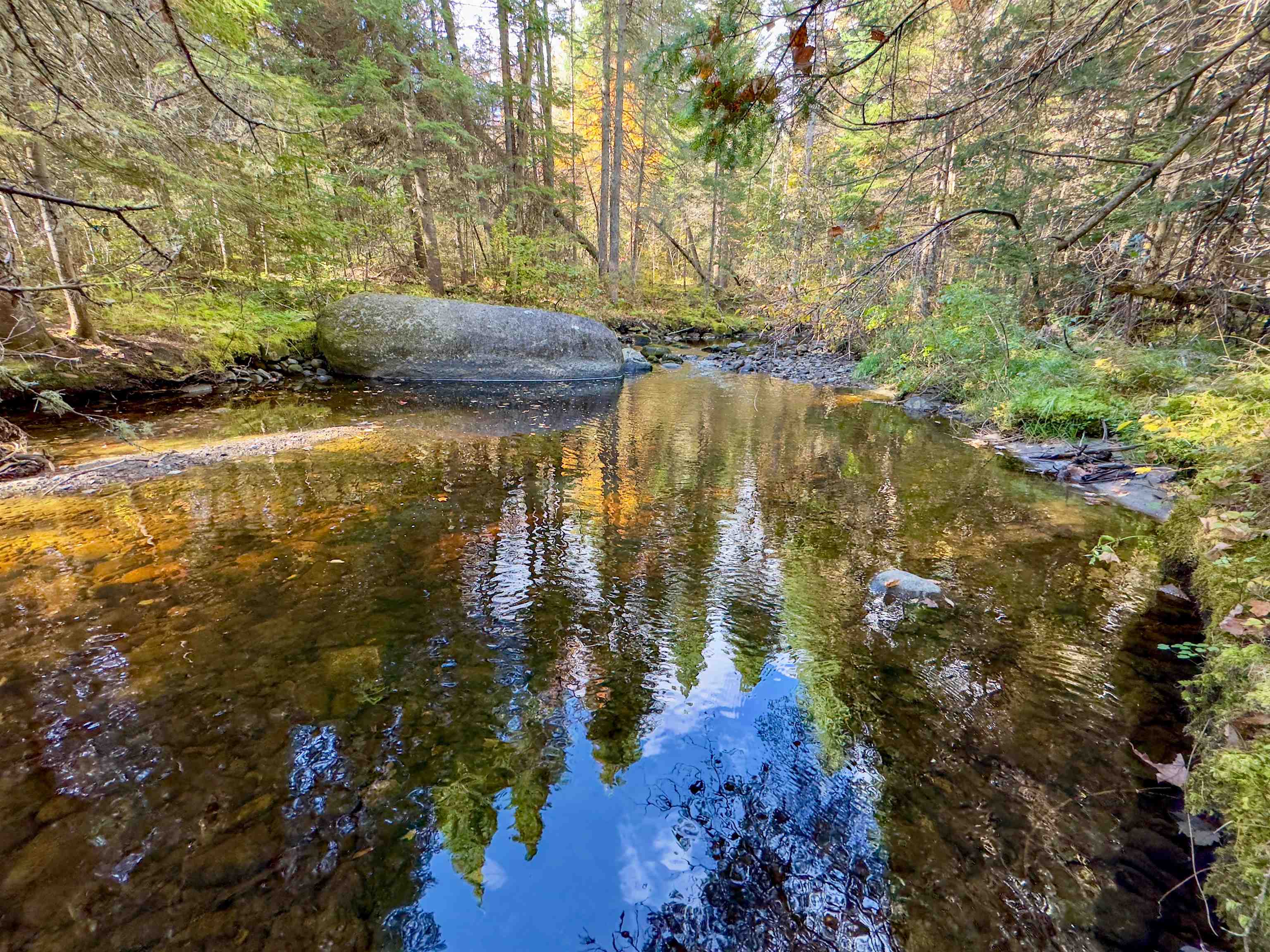 Homes for sale in Lunenburg, VT | 00 West Main St, Lunenburg, VT 05906 | MLS# 5017493